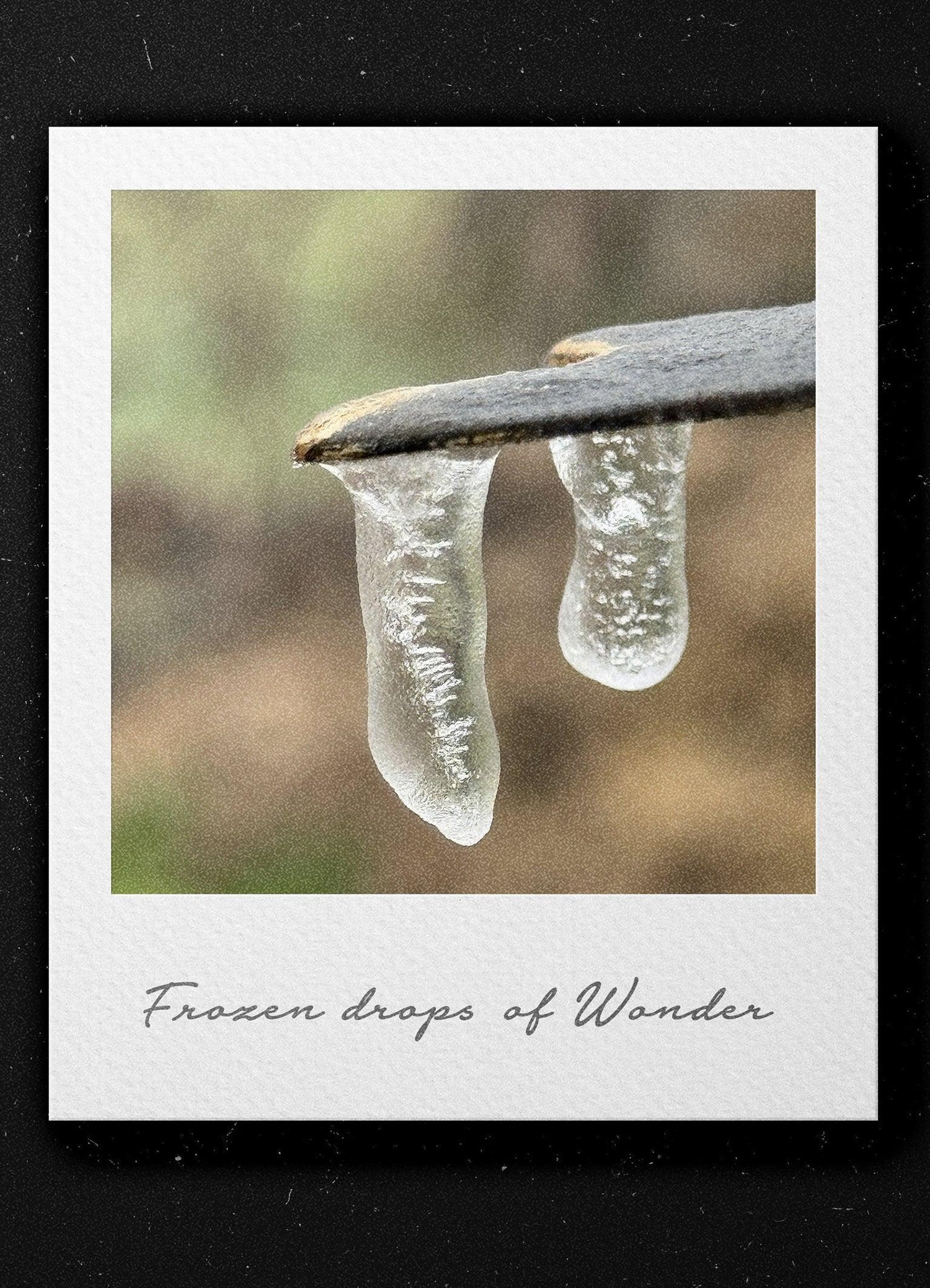 Pictures of Frozen Drops of Wonder - Superbpictures