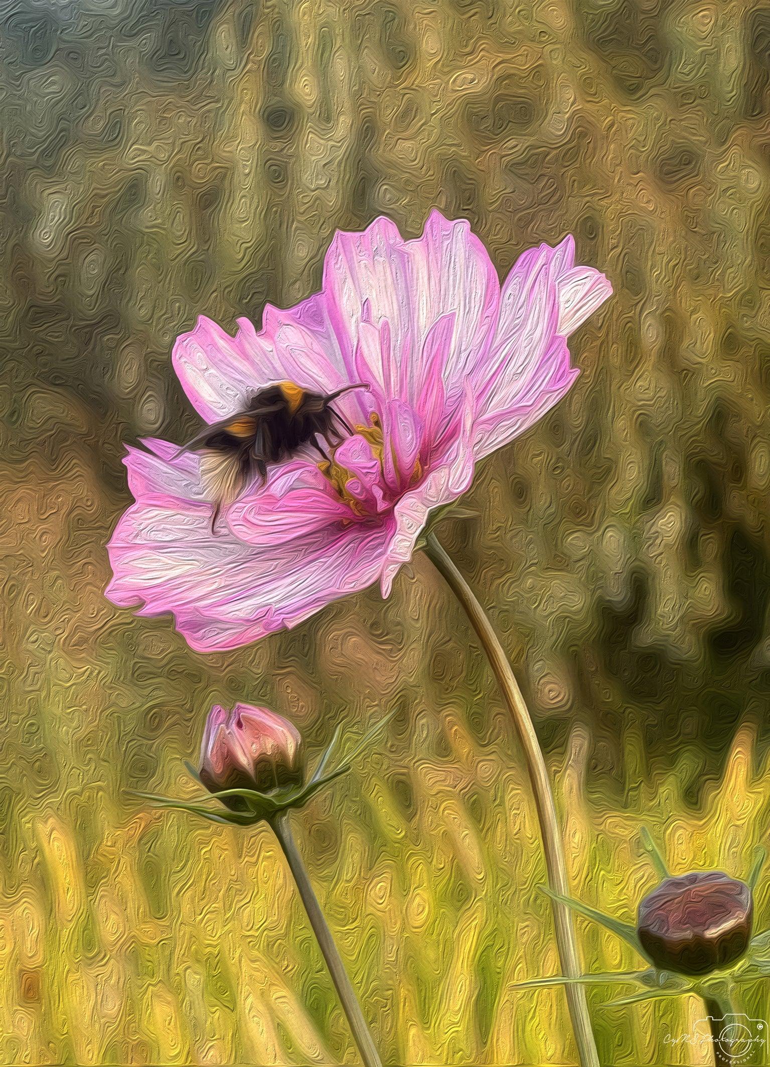 Amazing bugs_043_oil painting - Superbpictures