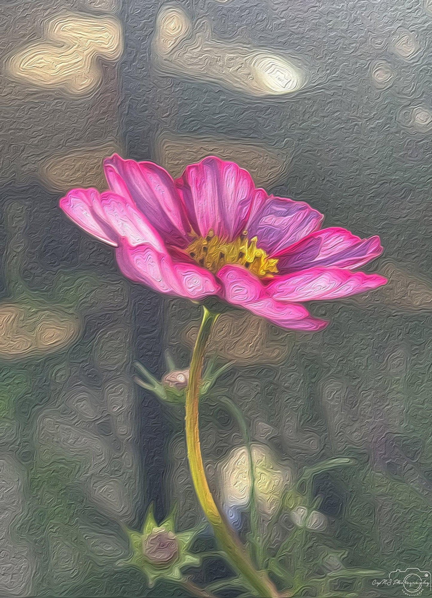 Flower_009_Oil painting - Superbpictures