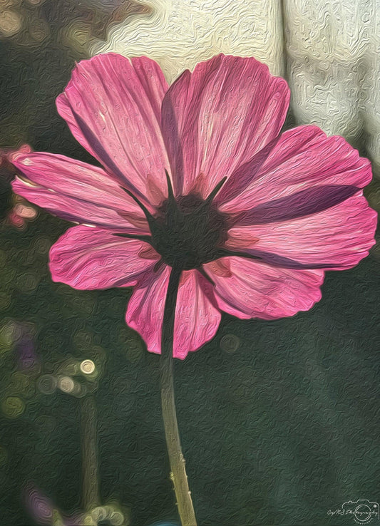 Flower_016_Oil painting - Superbpictures