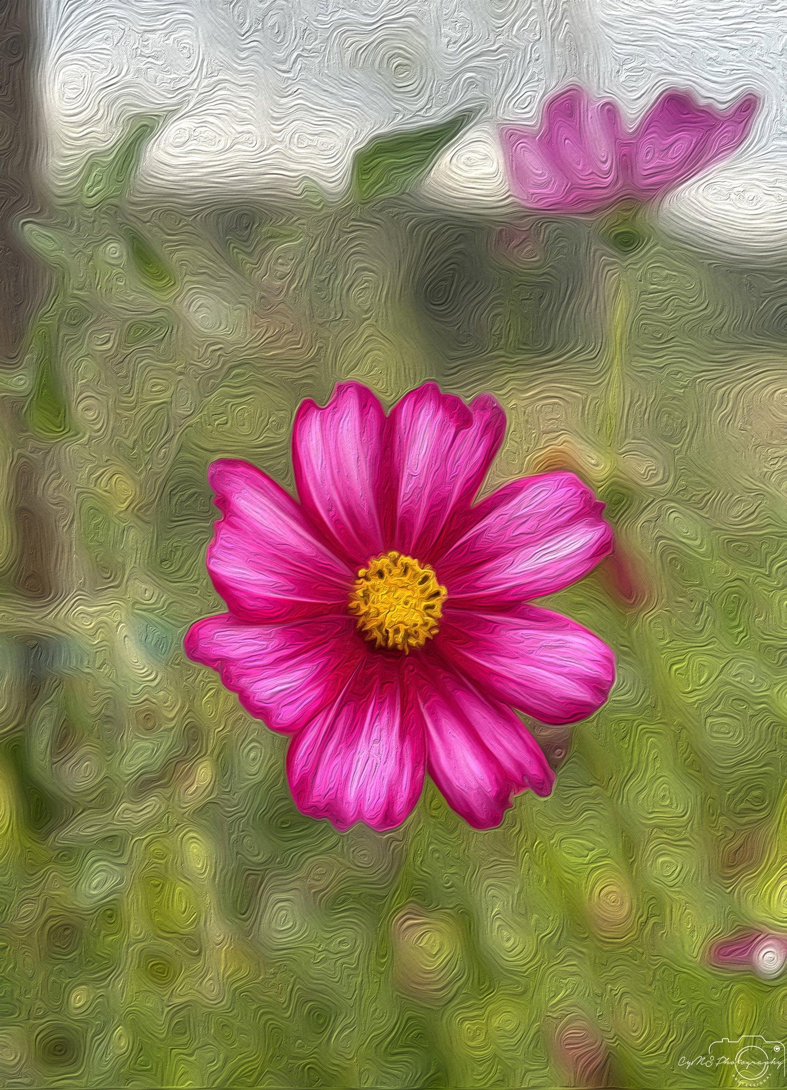 Flower_024_Oil painting - Superbpictures