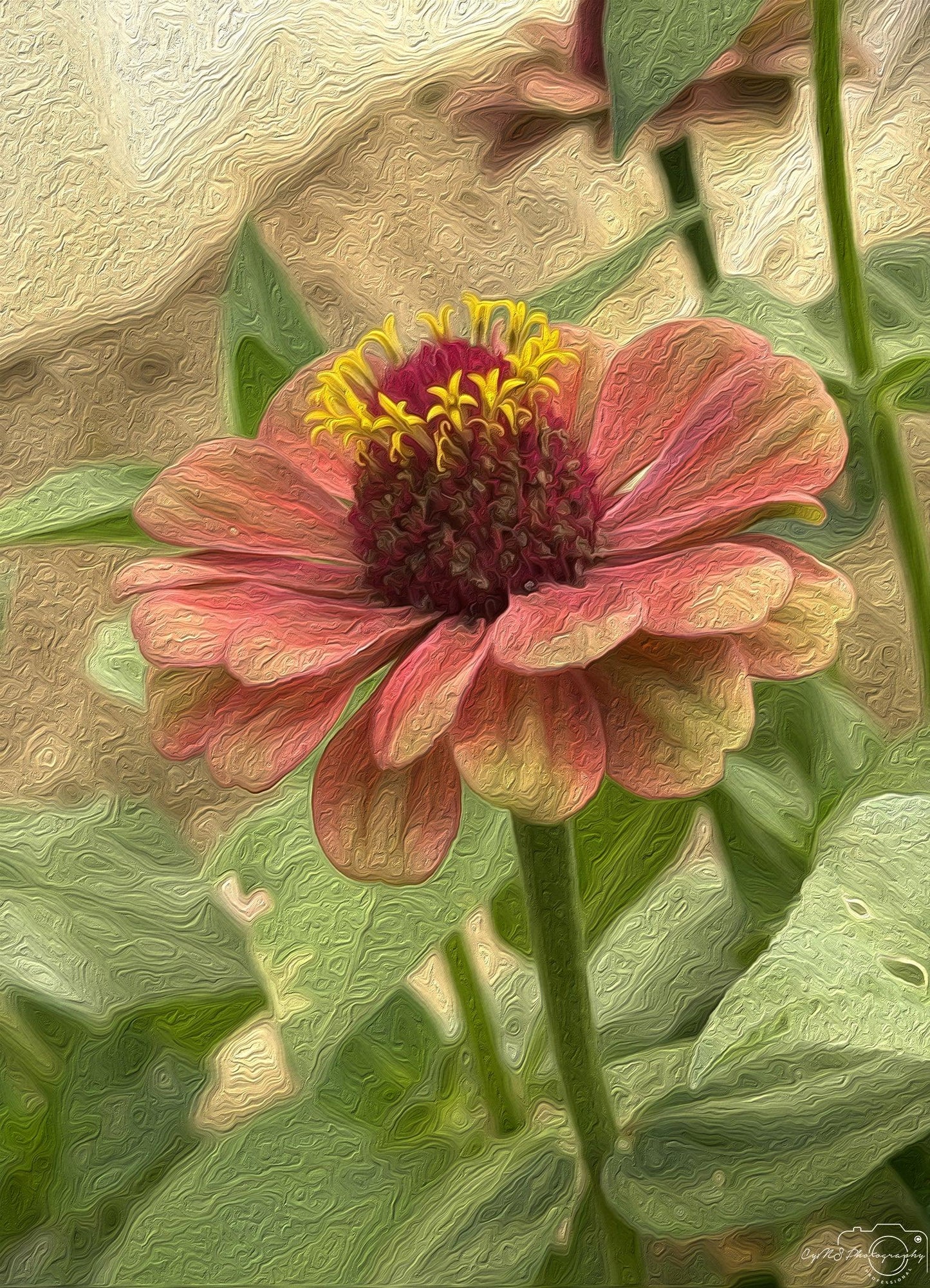 Flower_041_Oil painting - Superbpictures