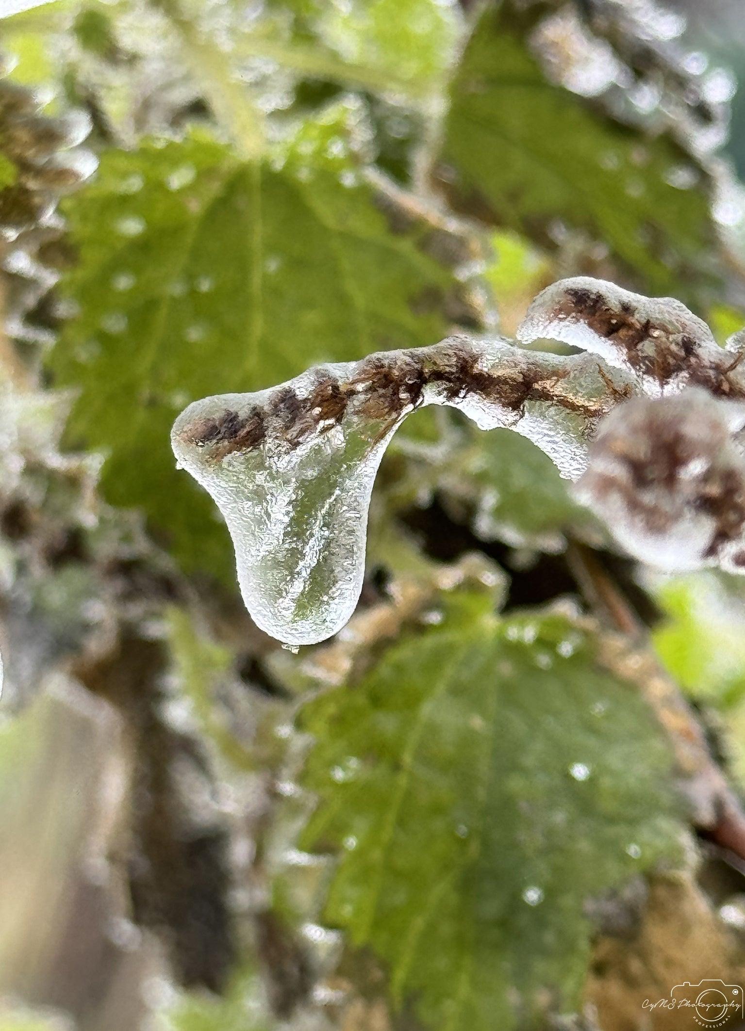 Frozen water drop_V010 - Superbpictures