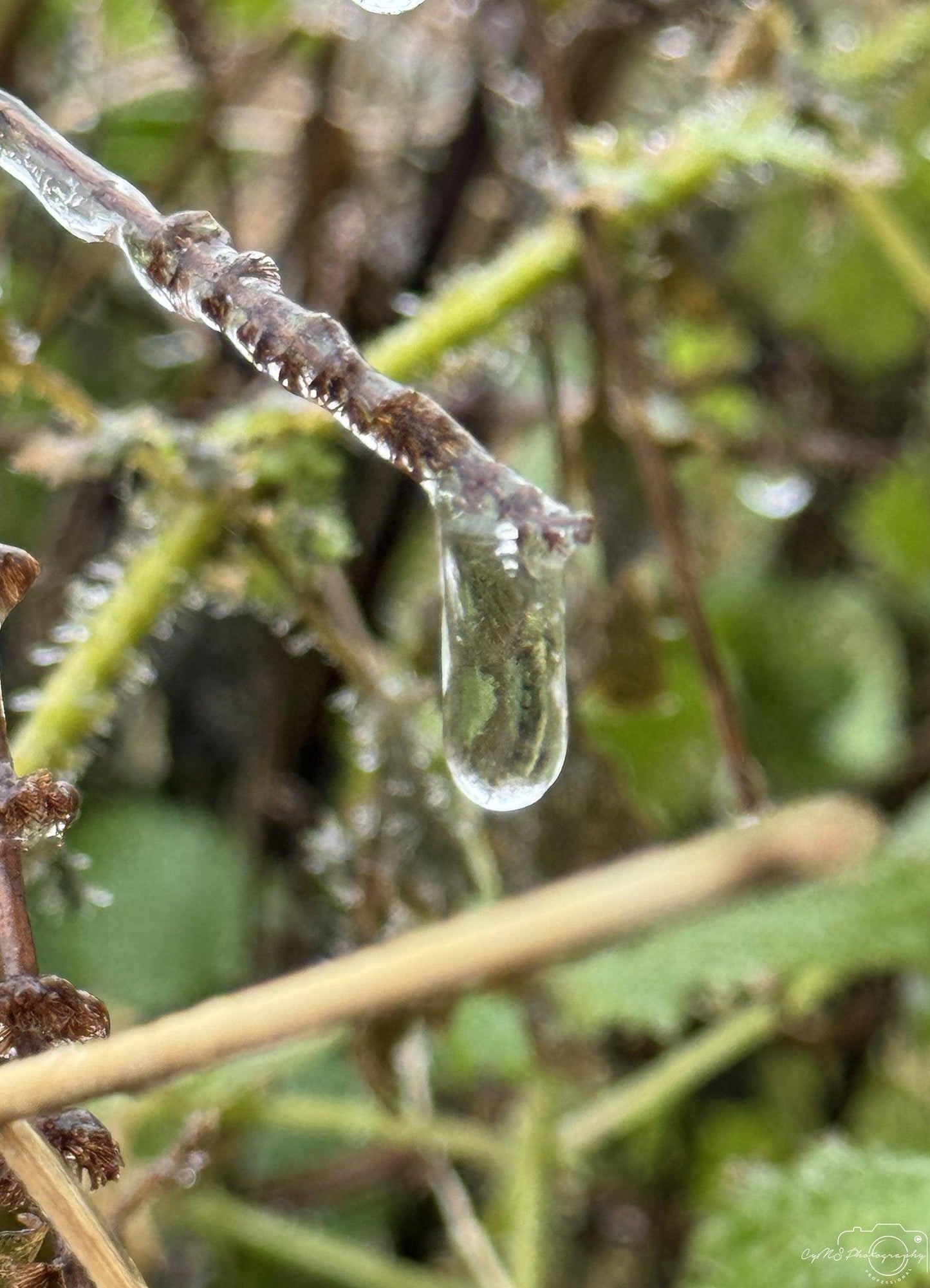 Frozen water drop_V013 - Superbpictures