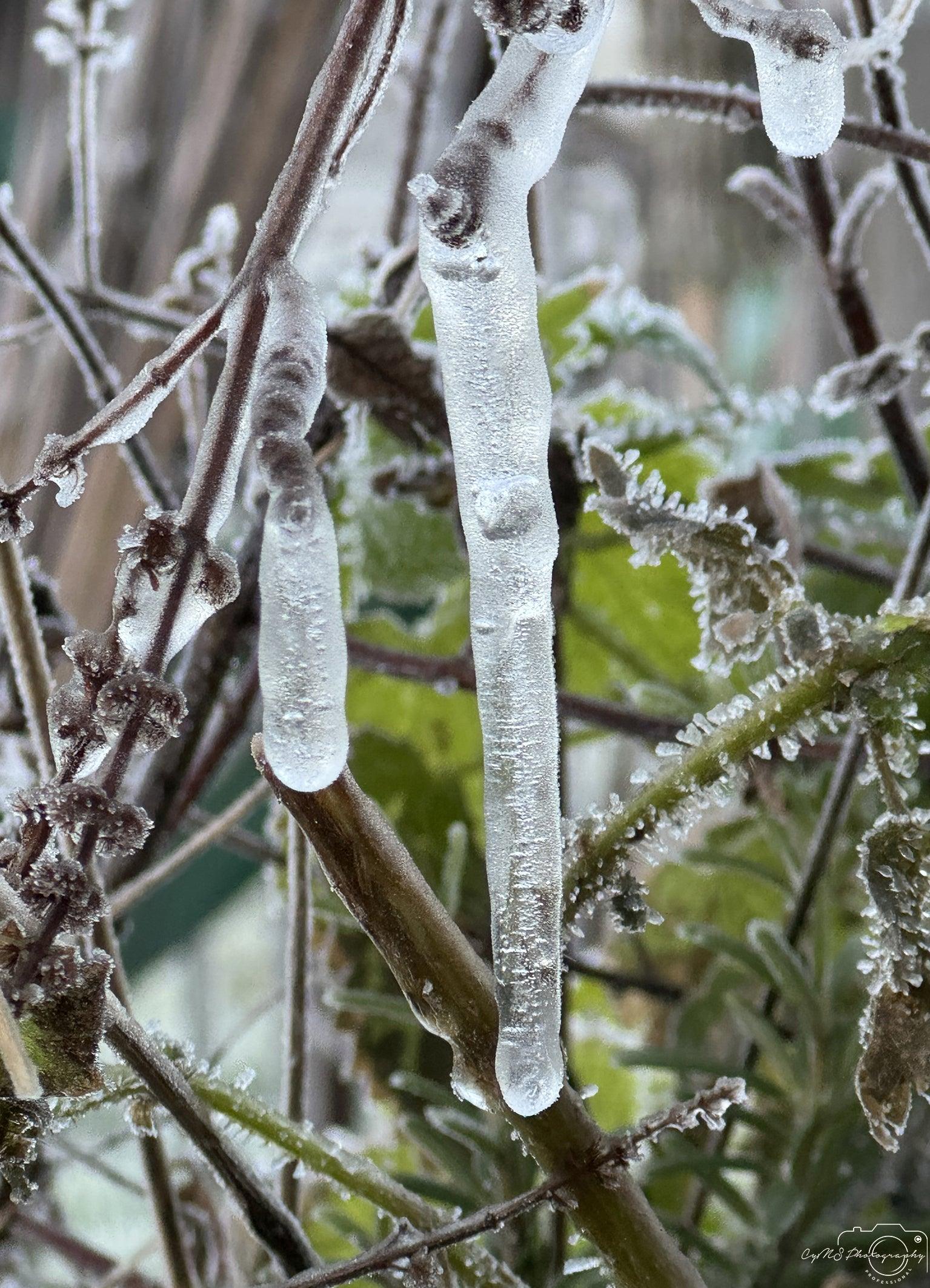 Frozen water drop_V016 - Superbpictures