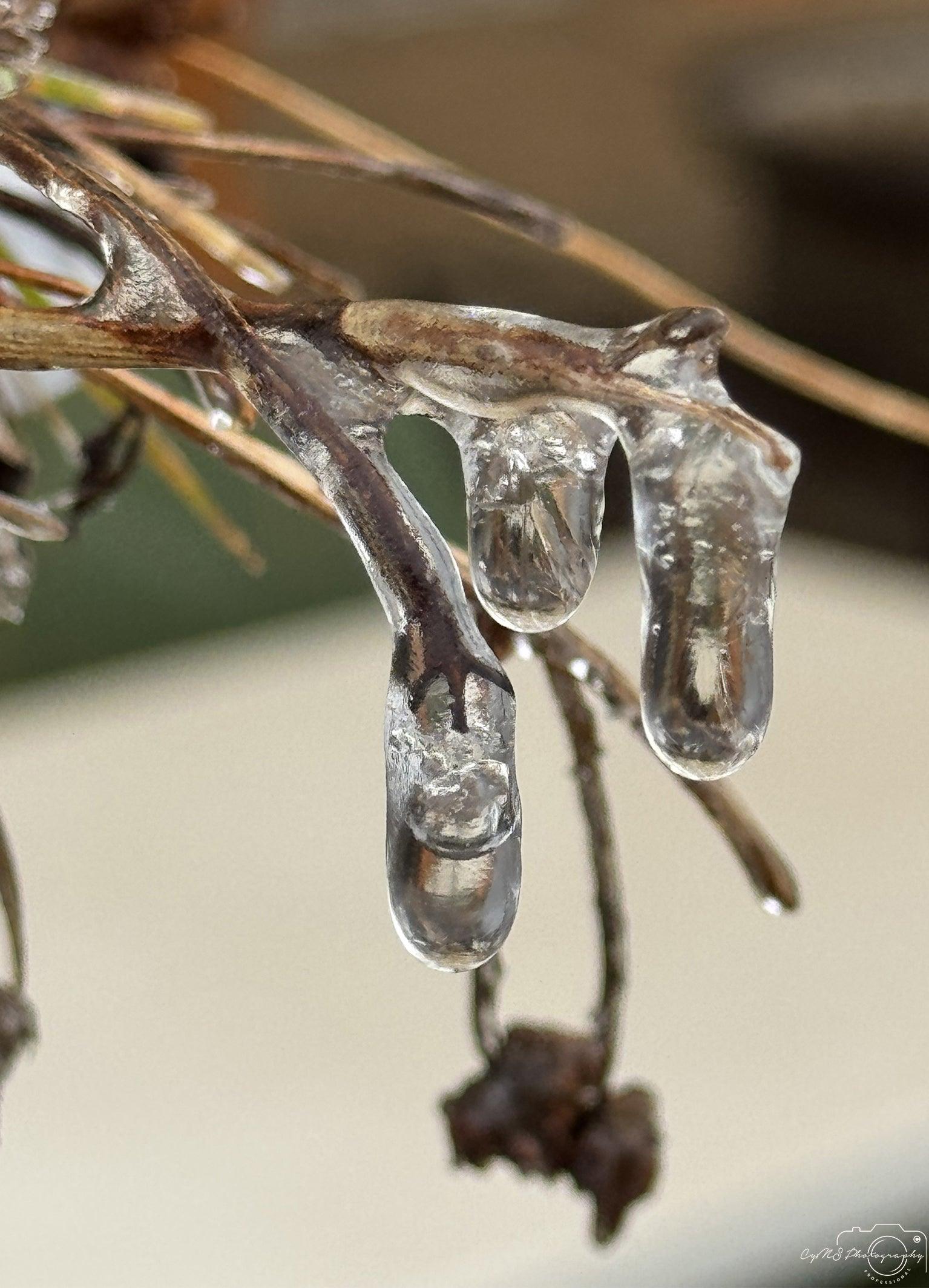 Frozen water drop_V003 - Superbpictures