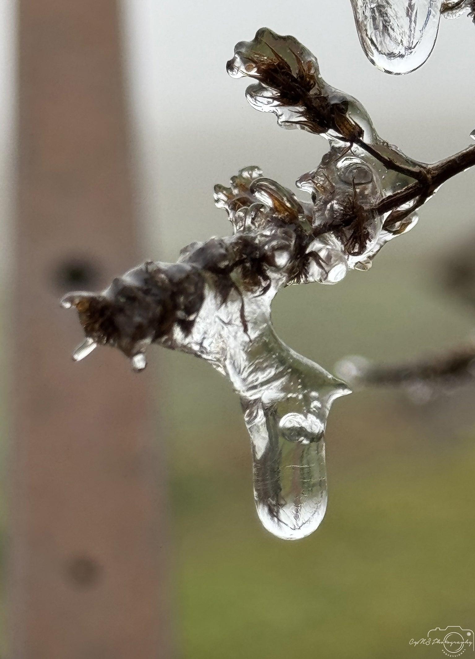 Frozen water drop_V008 - Superbpictures