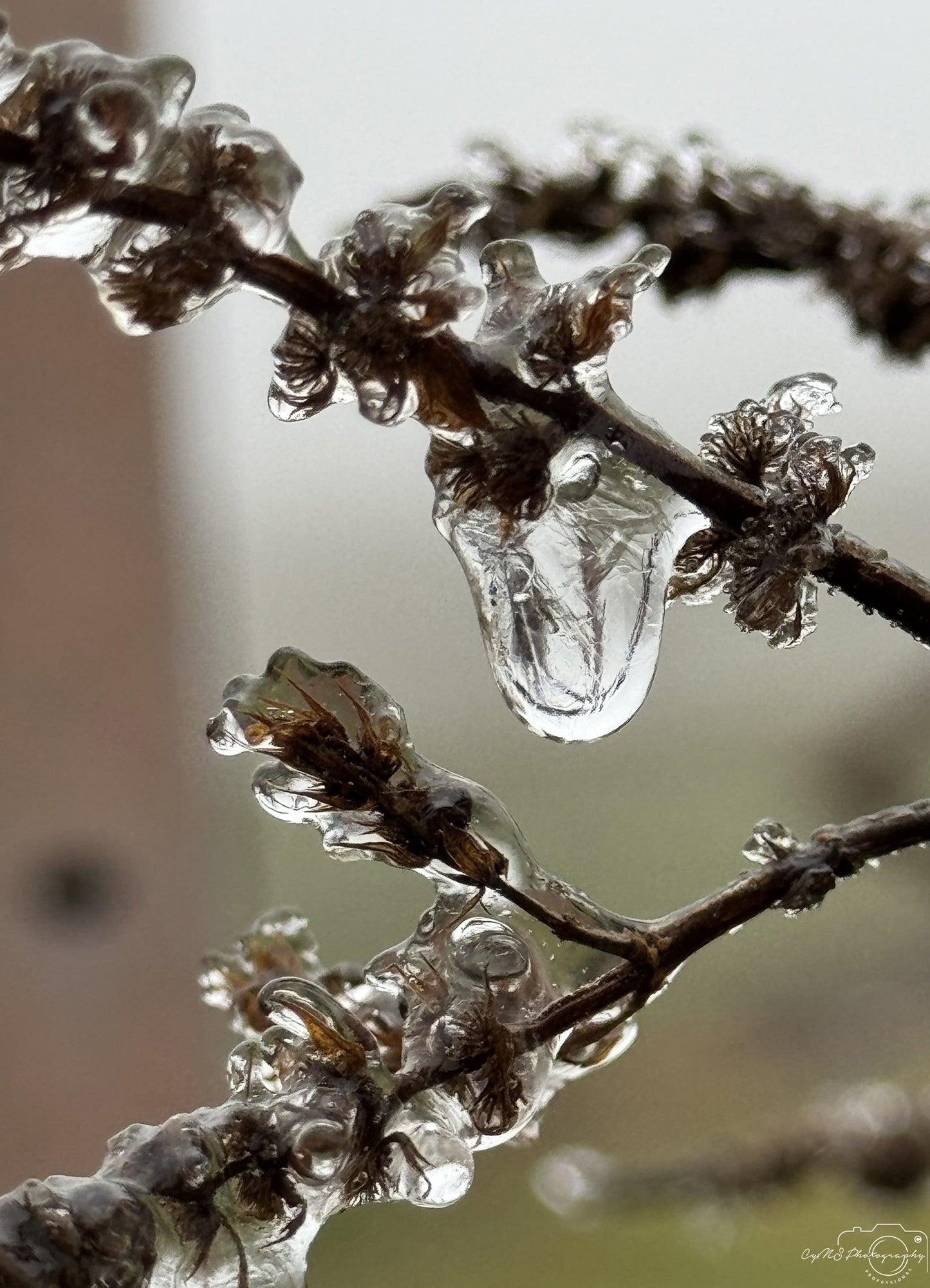 Frozen water drop_V009 - Superbpictures