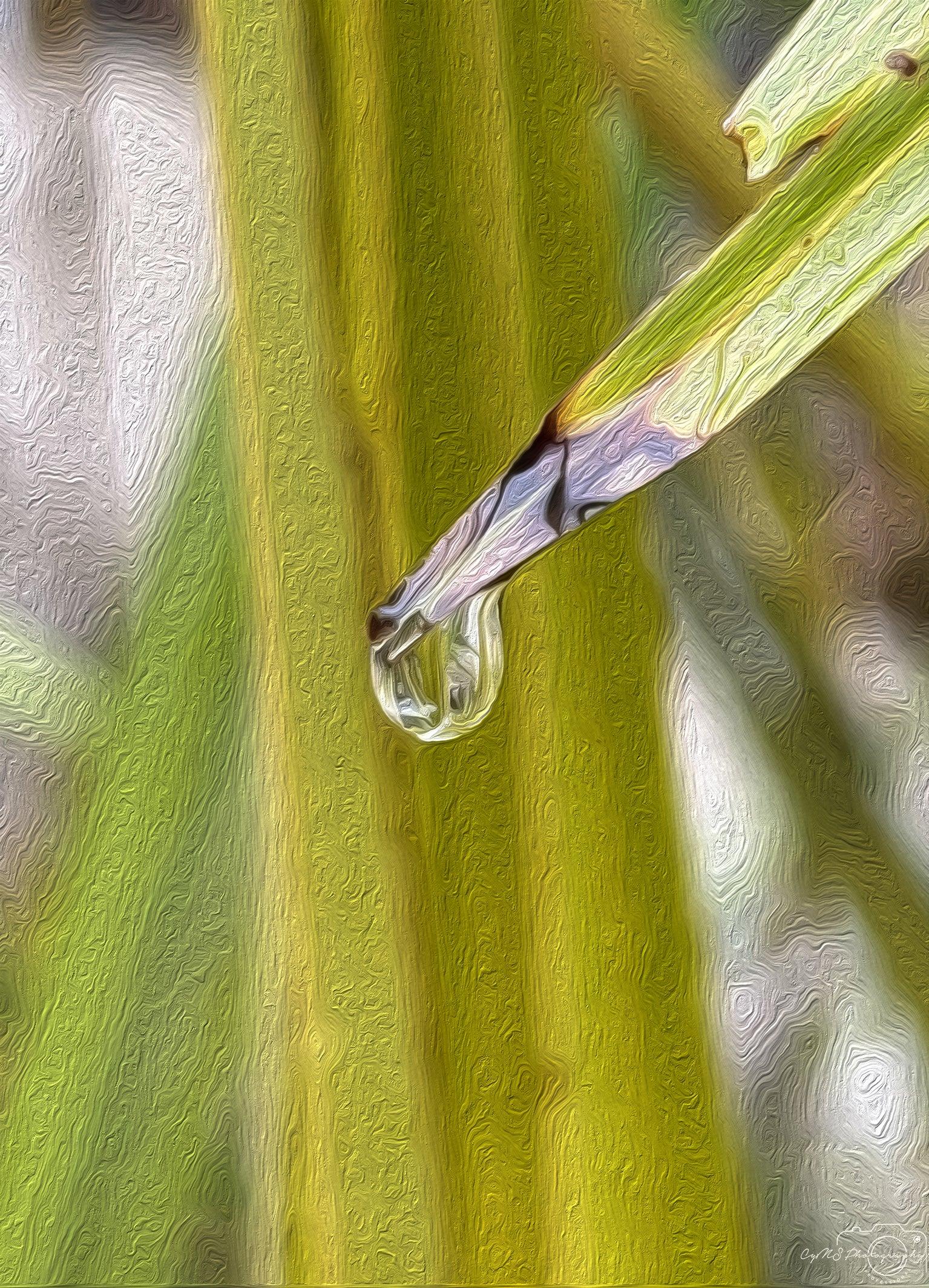 Beautiful water drop_V000_oil painting - Superbpictures