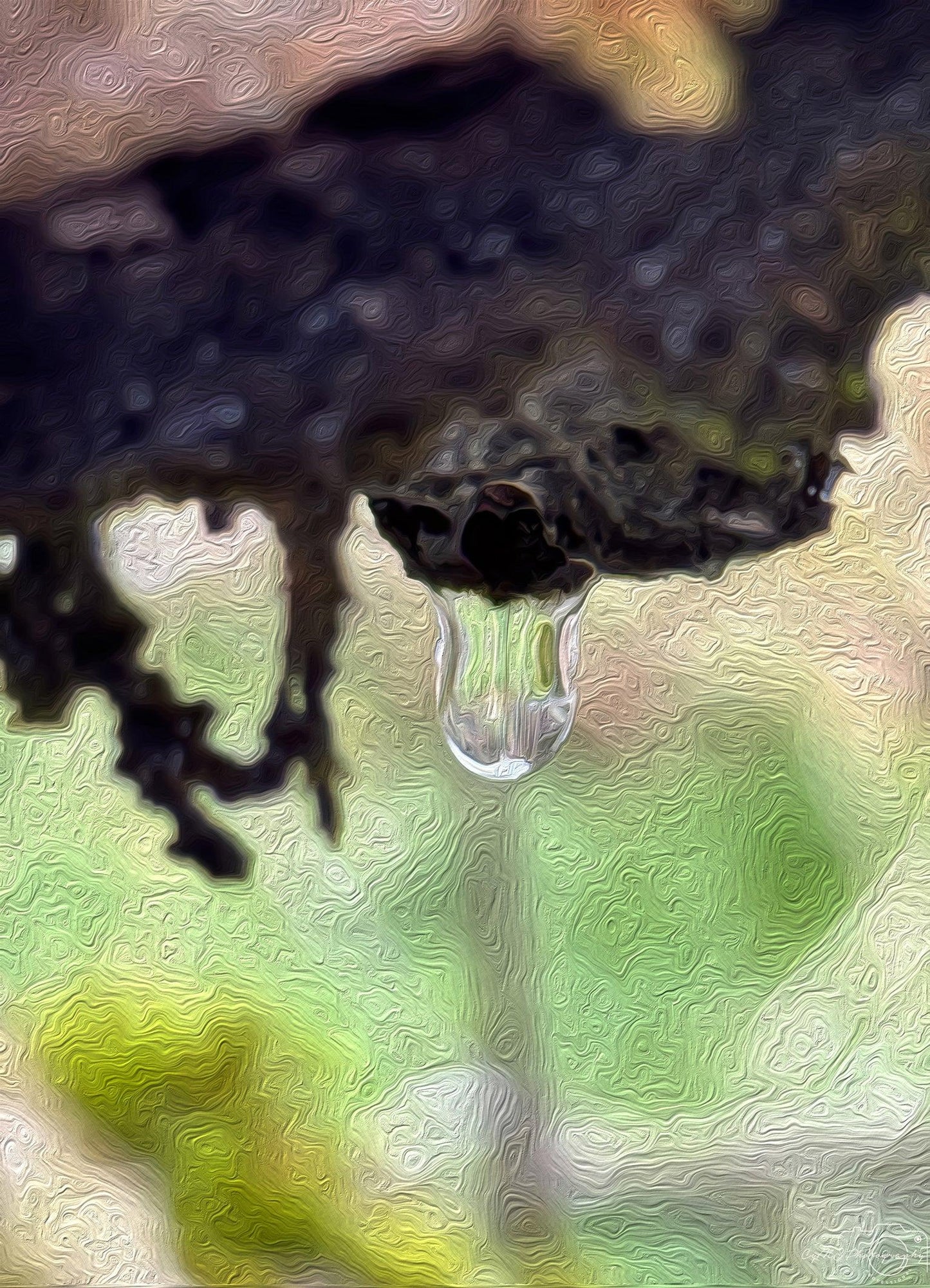 Beautiful water drop_V100_oil painting - Superbpictures