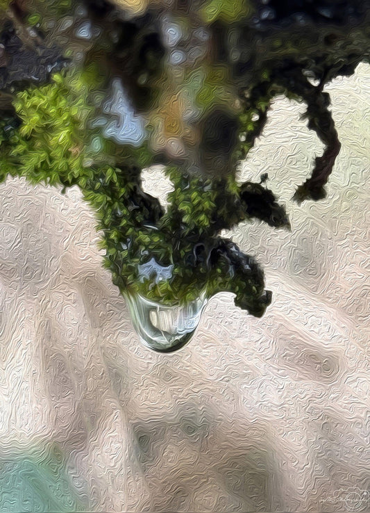 Beautiful water drop_V104_oil painting - Superbpictures