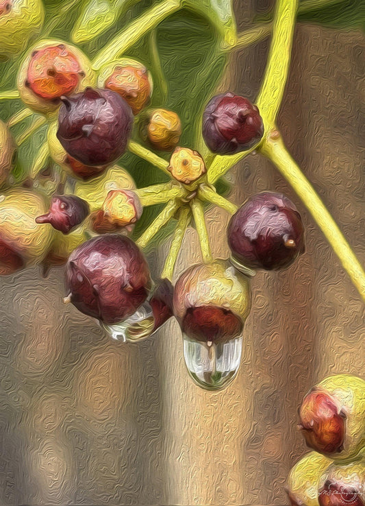 Beautiful water drop_V111_oil painting - Superbpictures