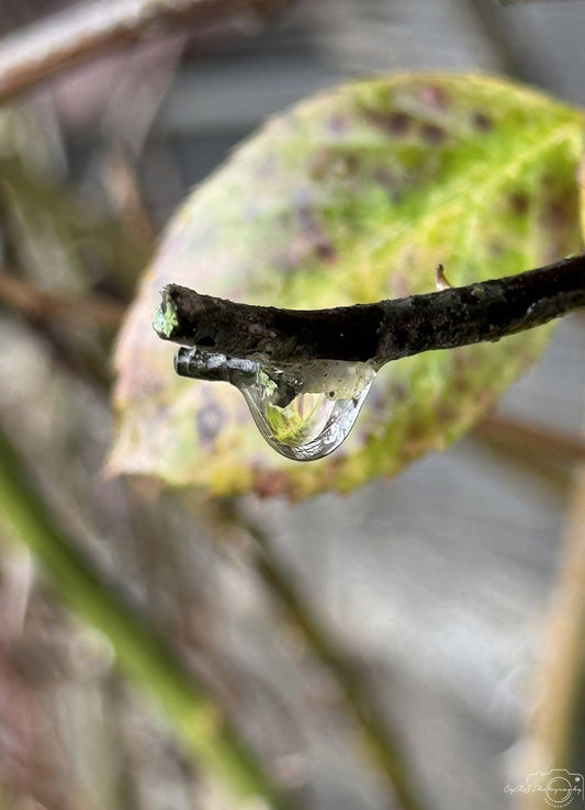 Beautiful water drop_V112 - Superbpictures