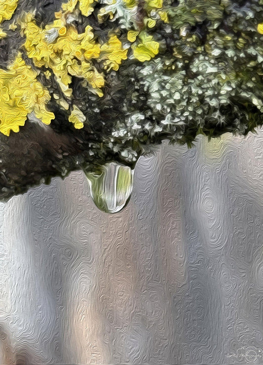 Beautiful water drop_V113_oil painting - Superbpictures