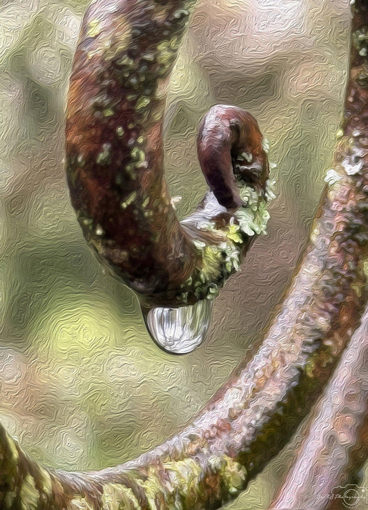 Beautiful water drop_V117_oil painting - Superbpictures