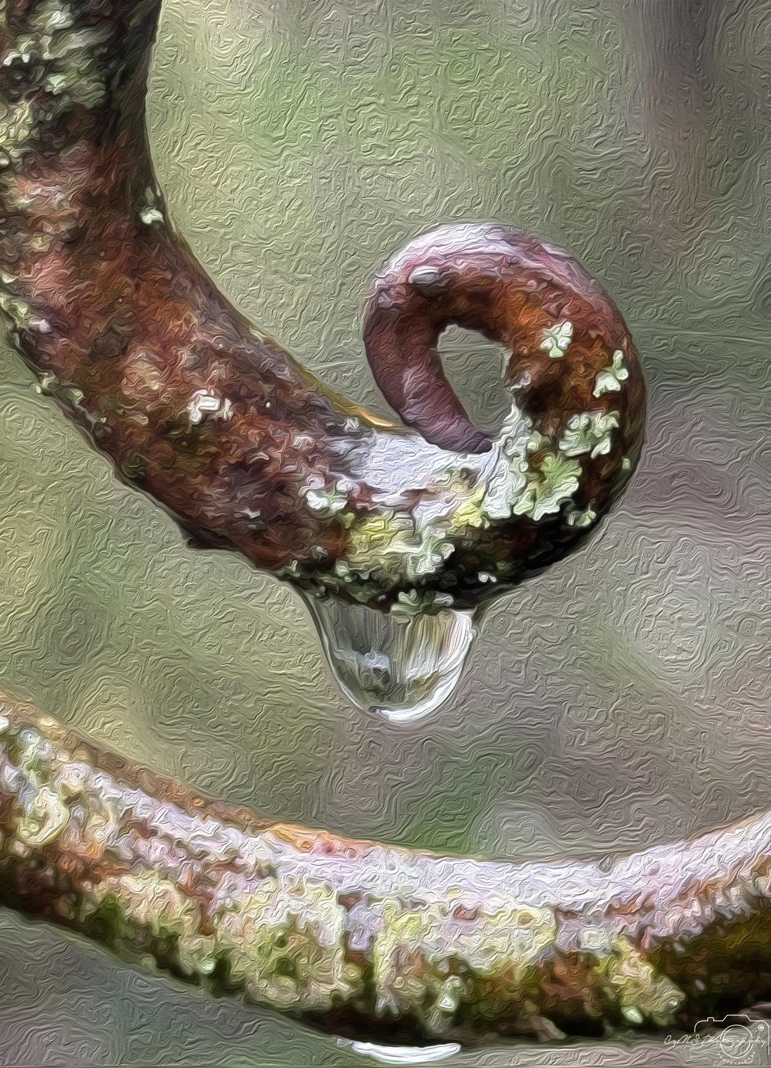 Beautiful water drop_V118_oil painting - Superbpictures