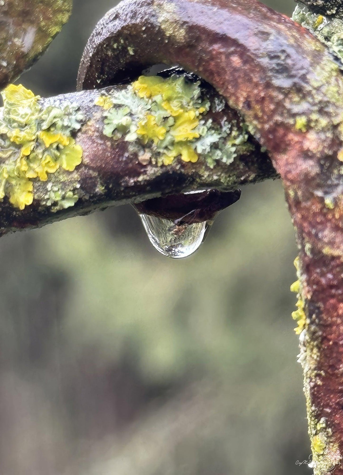 Beautiful water drop_V119 - Superbpictures