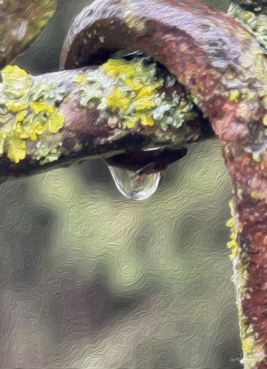 Beautiful water drop_V119_oil painting - Superbpictures