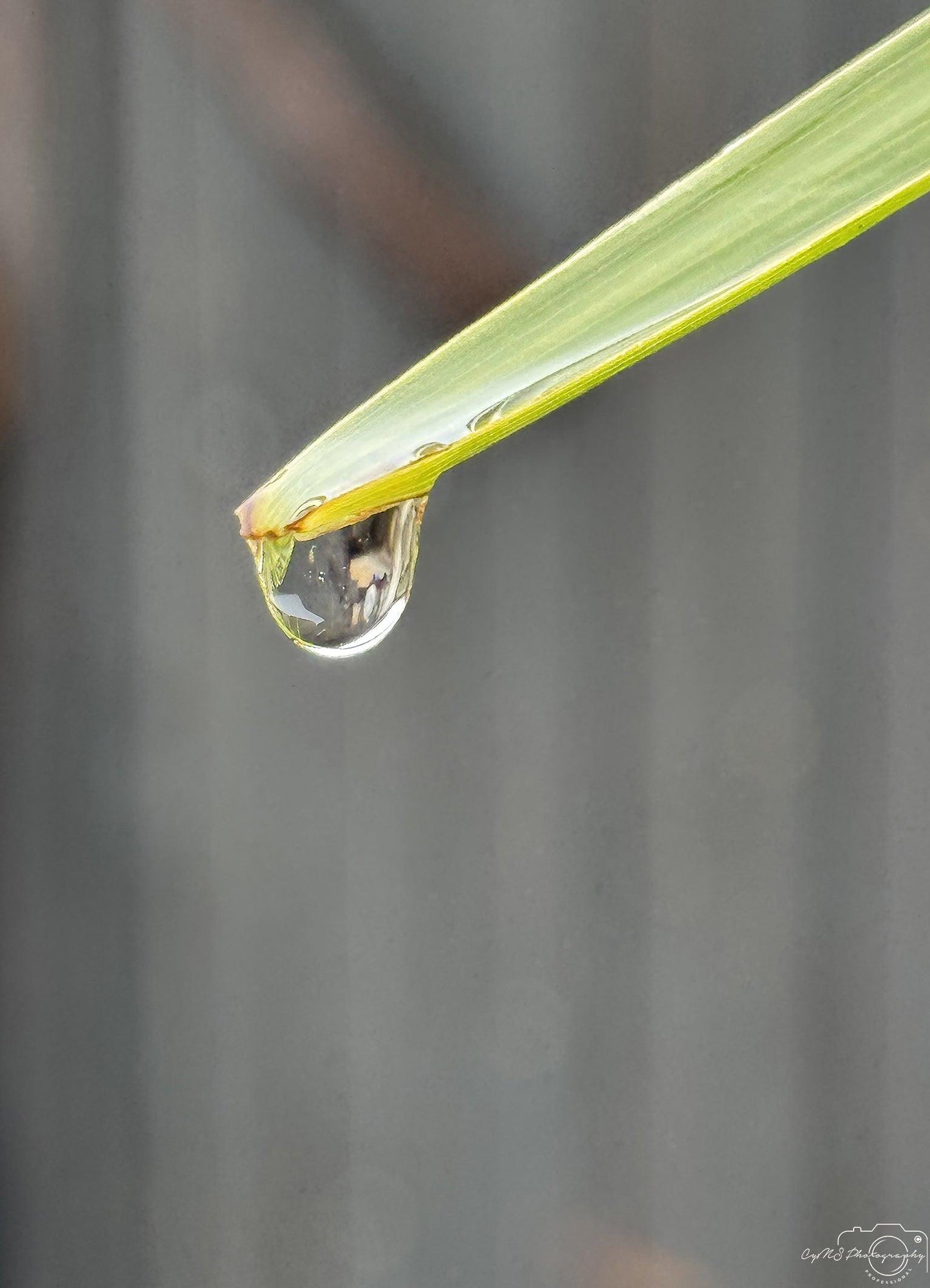 Beautiful water drop_V128 - Superbpictures