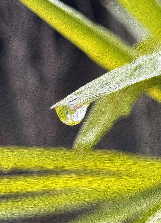 Beautiful water drop_V130_oil painting - Superbpictures