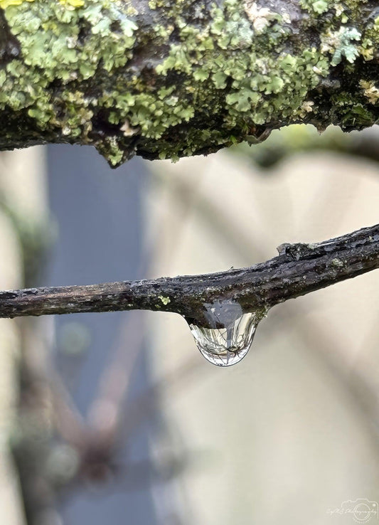 Beautiful water drop_V132 - Superbpictures