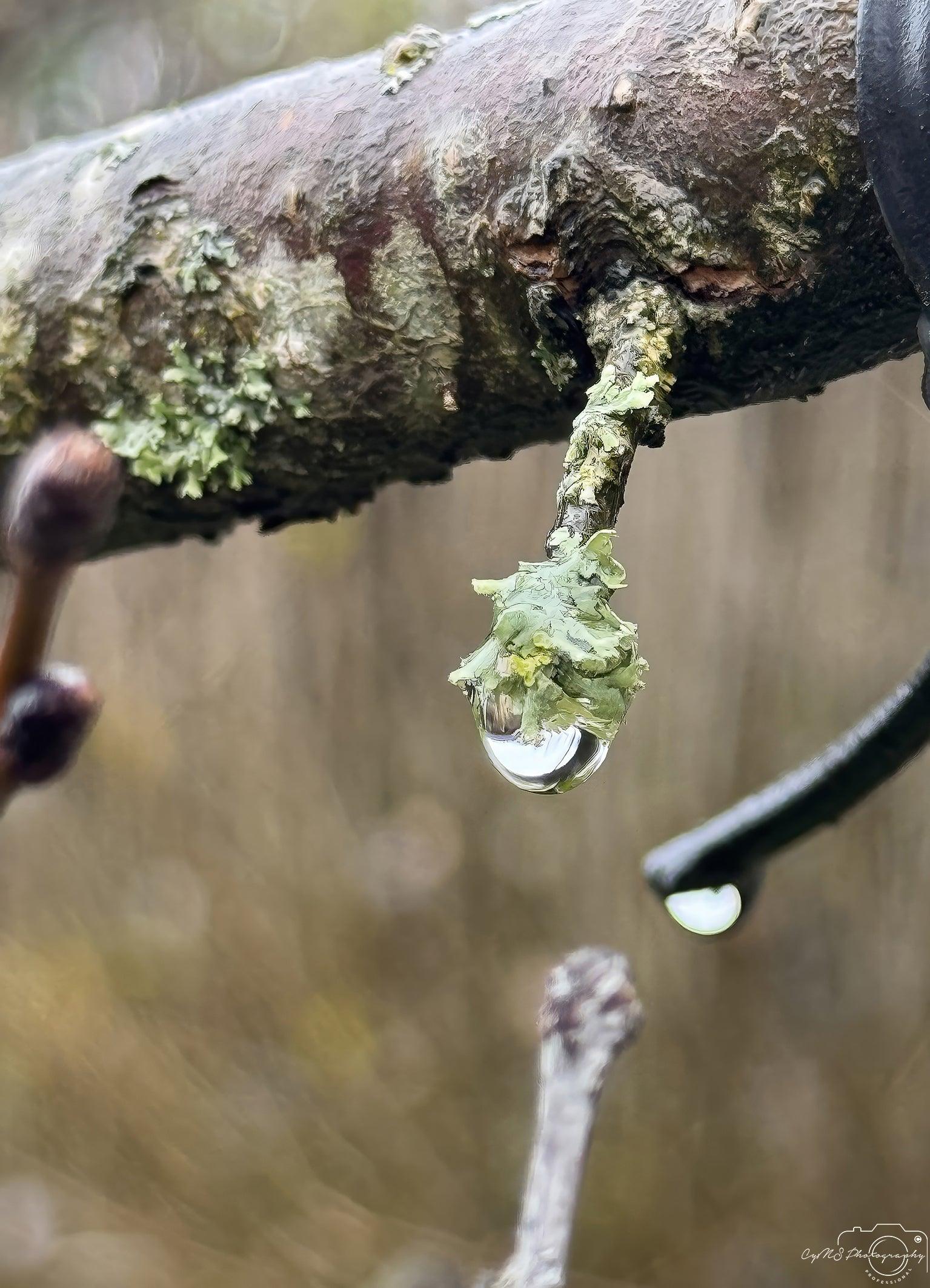 Beautiful water drop_V133 - Superbpictures