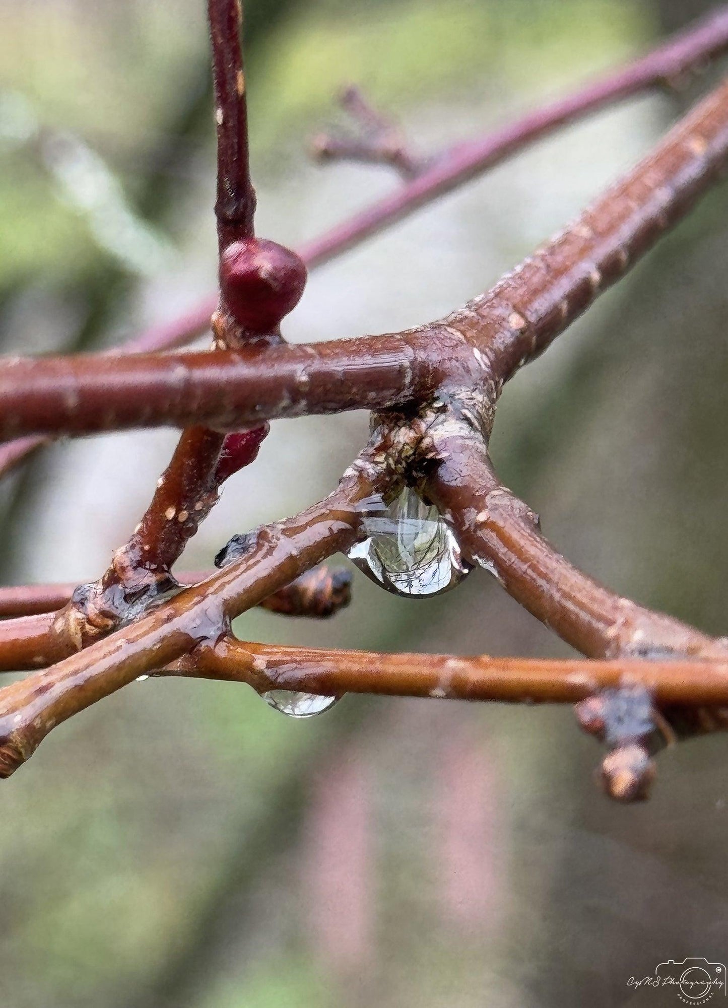 Beautiful water drop_V141 - Superbpictures