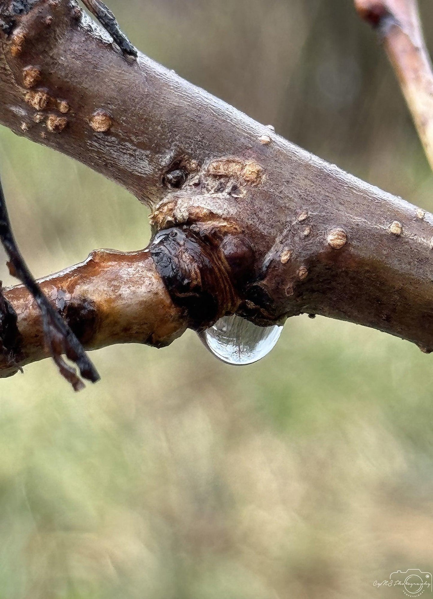 Beautiful water drop_V142 - Superbpictures