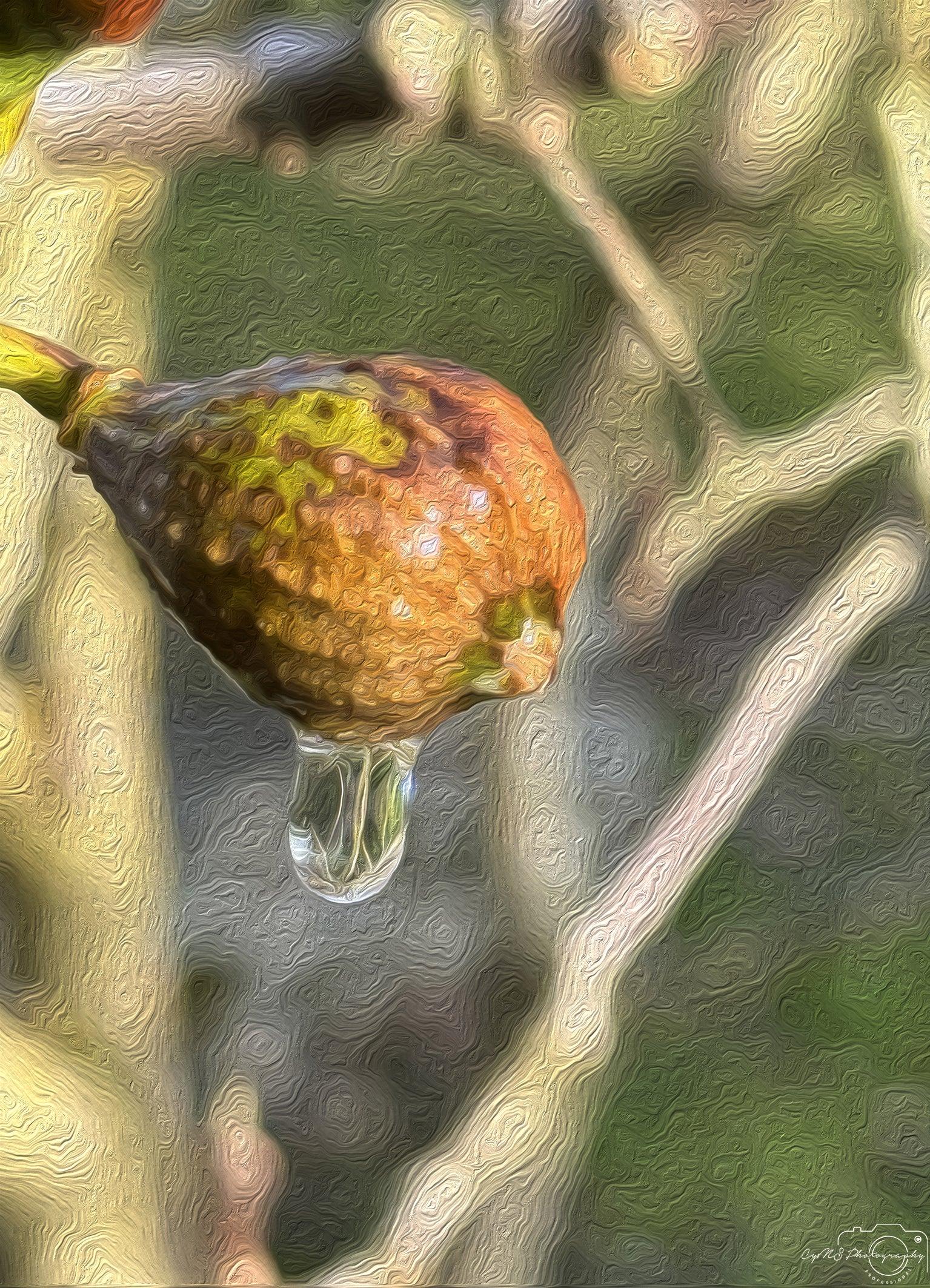 Beautiful water drop_V145_oil painting - Superbpictures