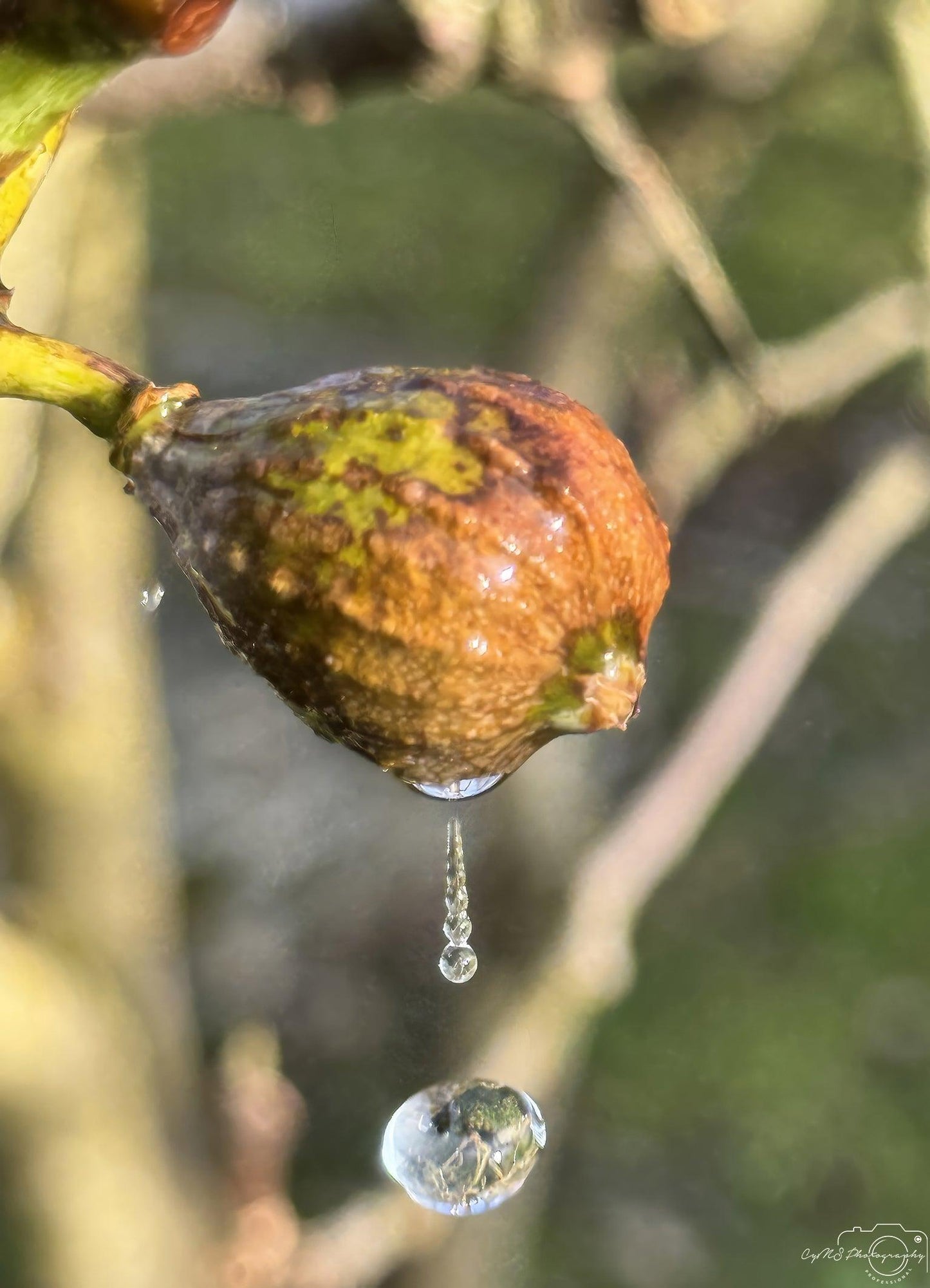 Beautiful water drop_V147 - Superbpictures