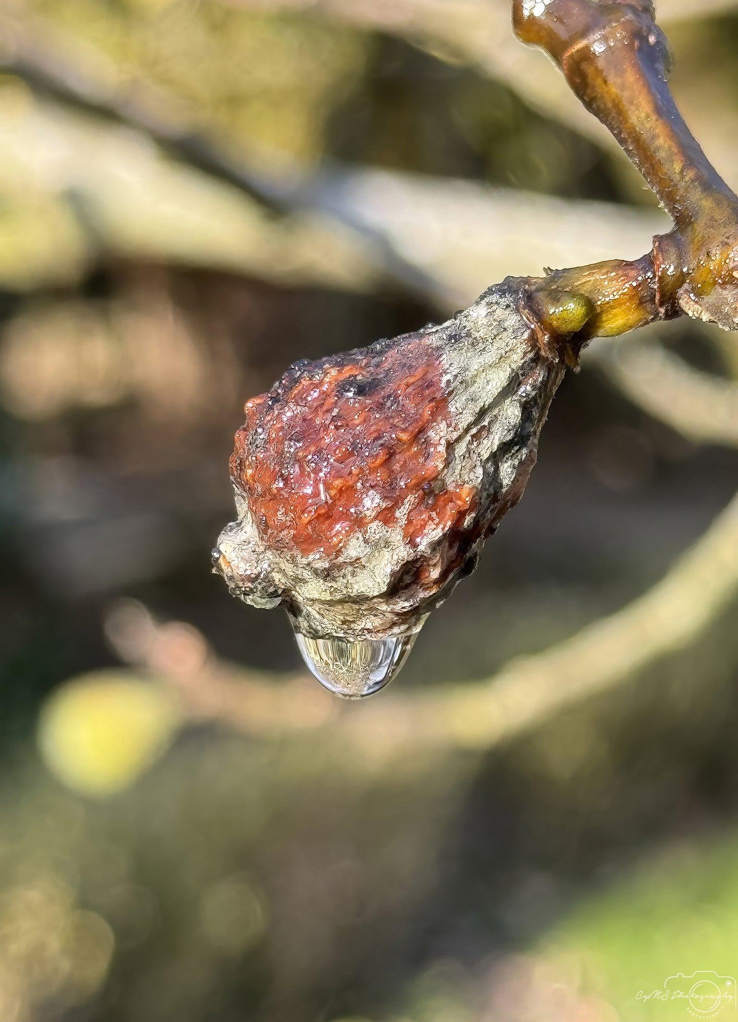 Beautiful water drop_V152 - Superbpictures