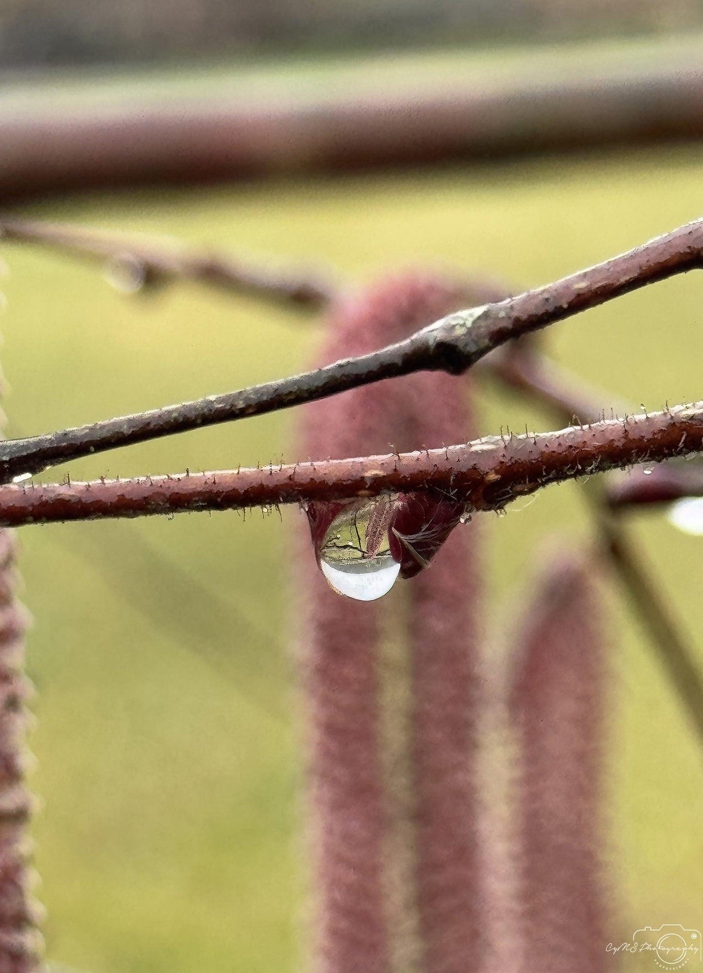 Beautiful water drop_V156 - Superbpictures