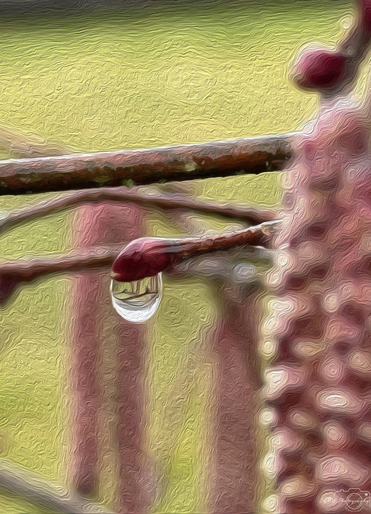 Beautiful water drop_V157_oil painting - Superbpictures