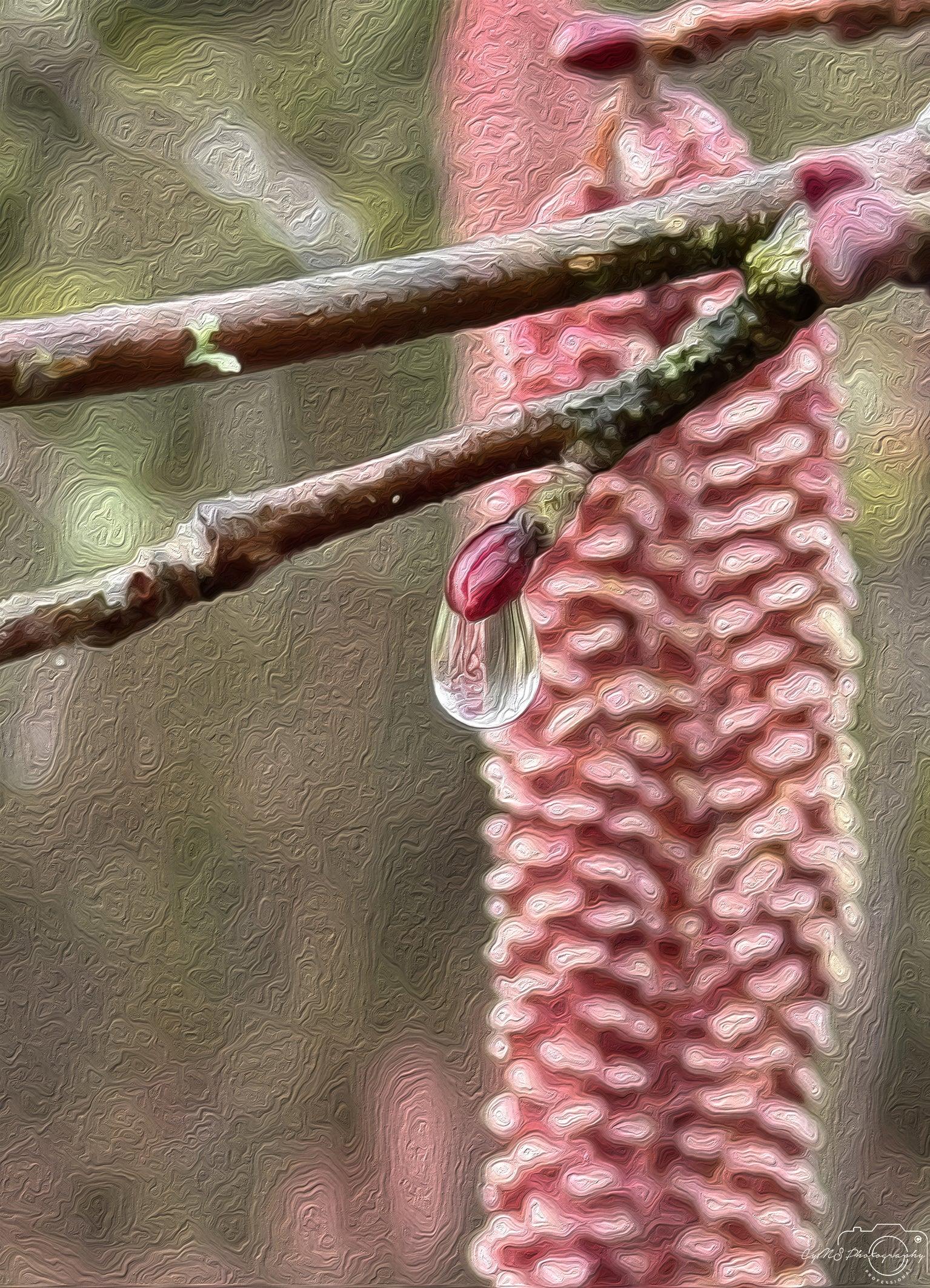 Beautiful water drop_V159_oil painting - Superbpictures