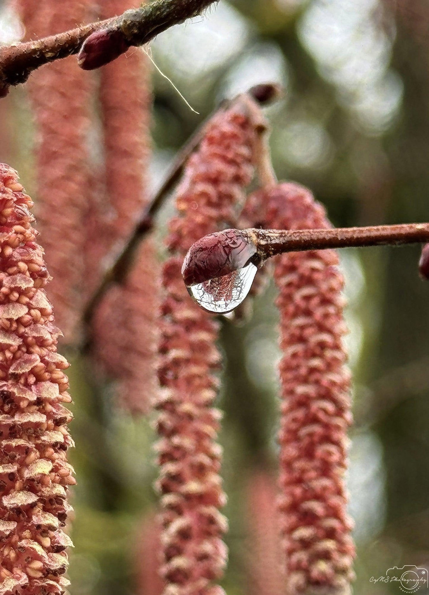 Beautiful water drop_V161 - Superbpictures