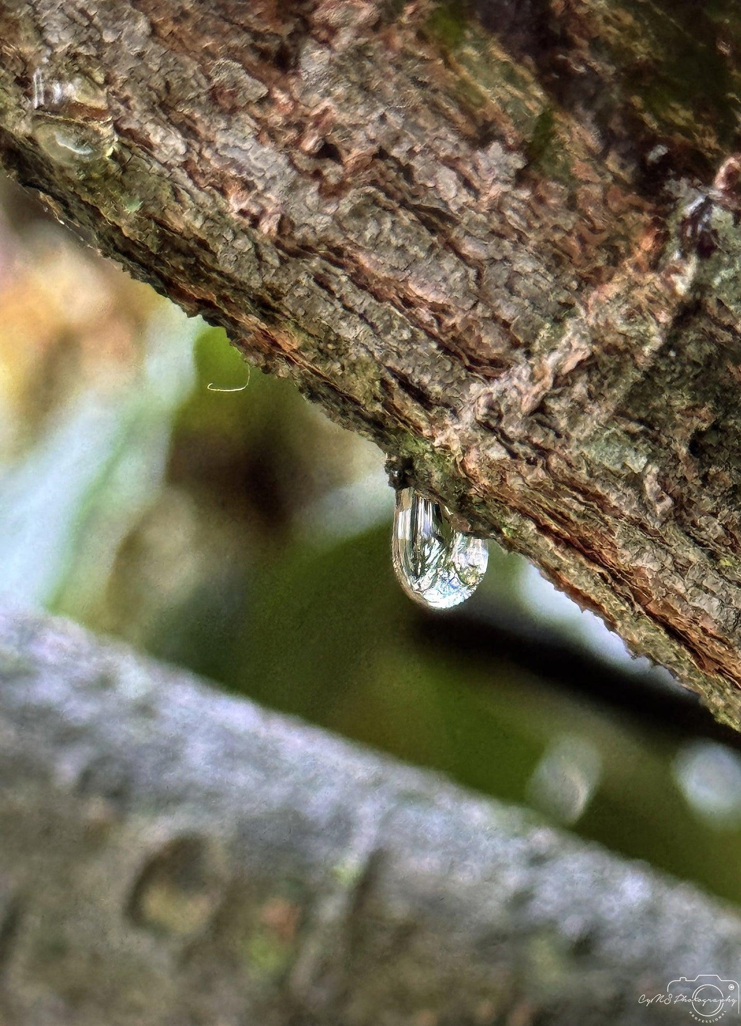 Beautiful water drop_V165 - Superbpictures