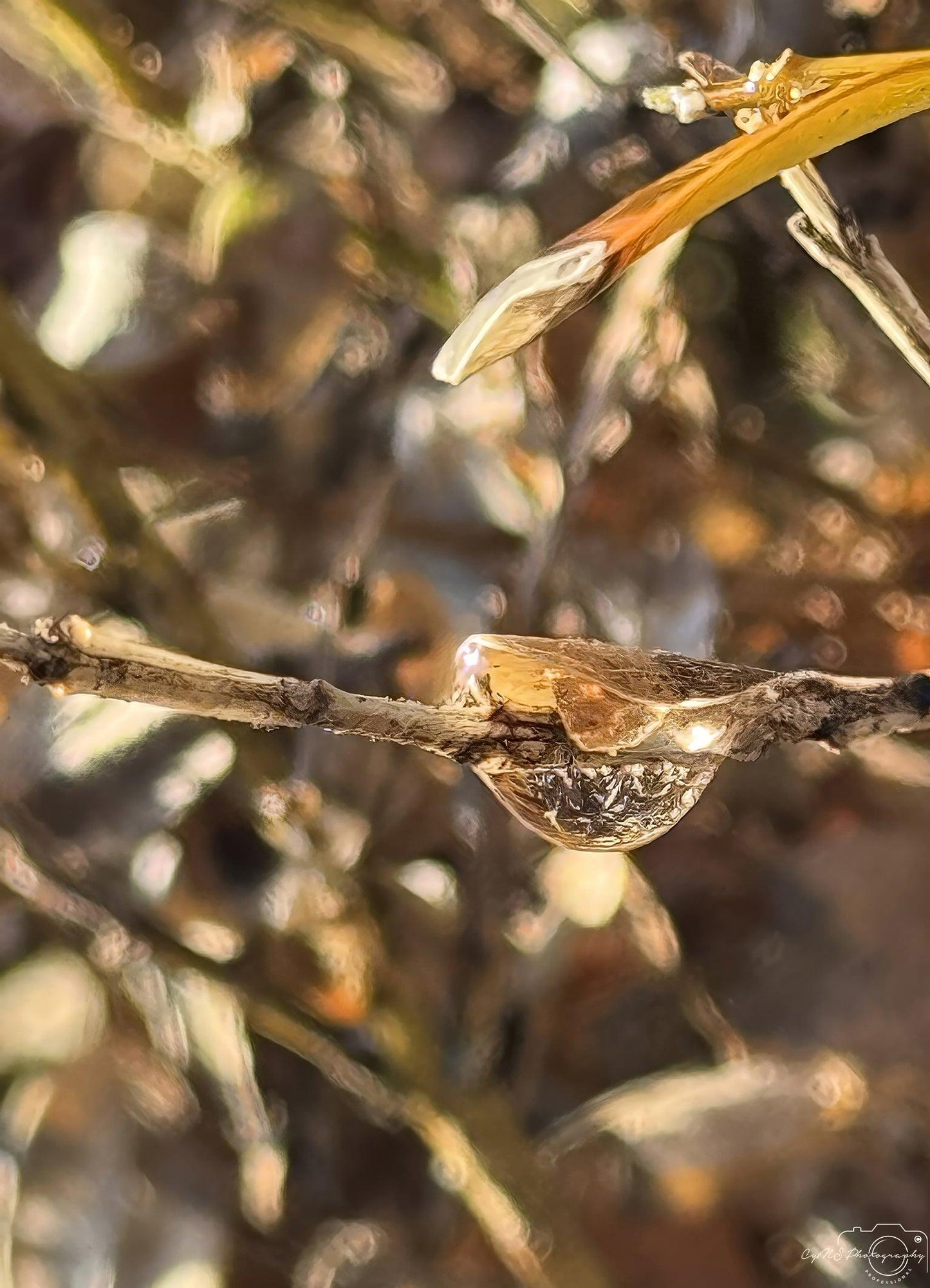 Beautiful water drop_V166 - Superbpictures