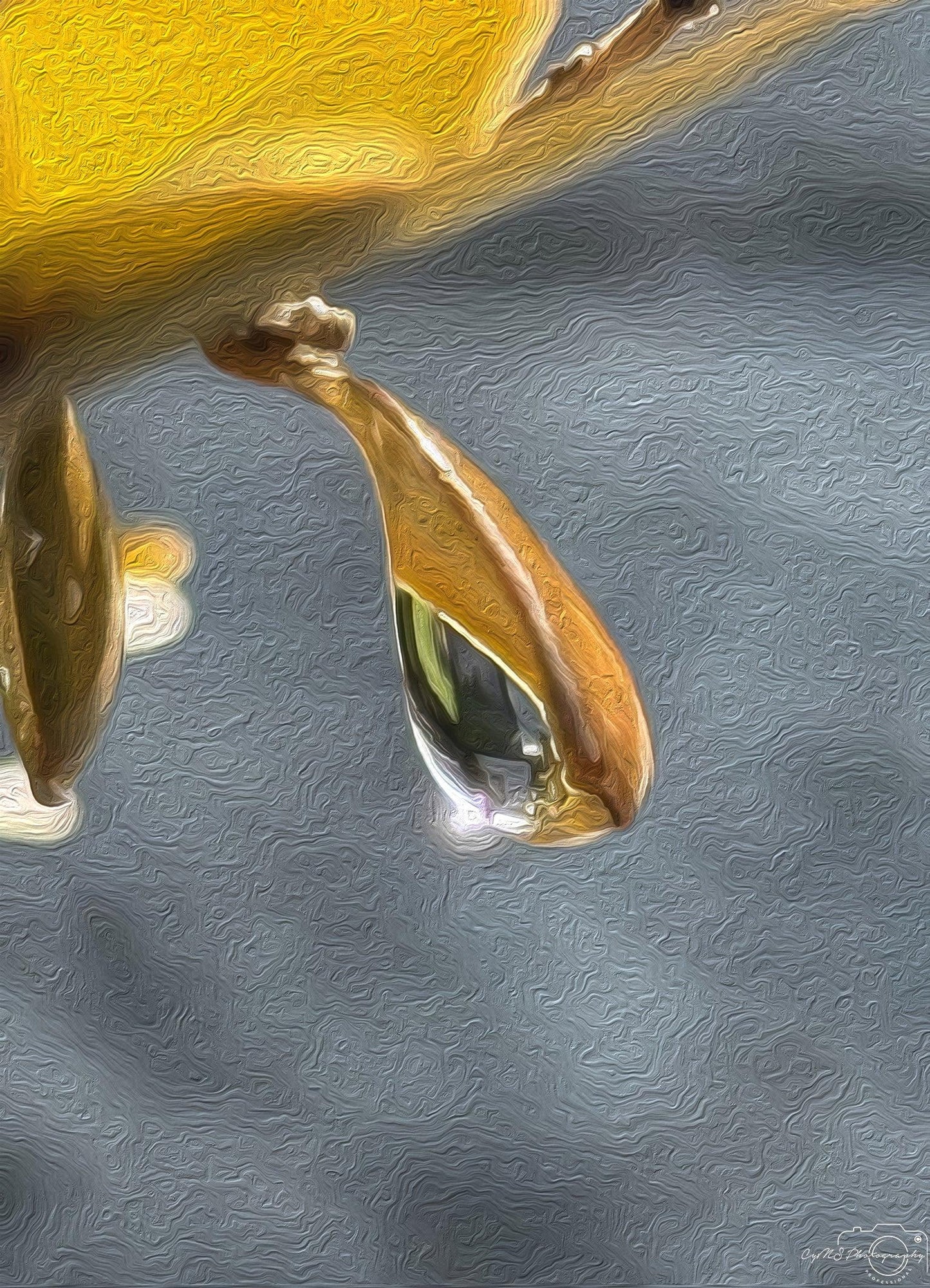 Beautiful water drop_V168_oil painting - Superbpictures