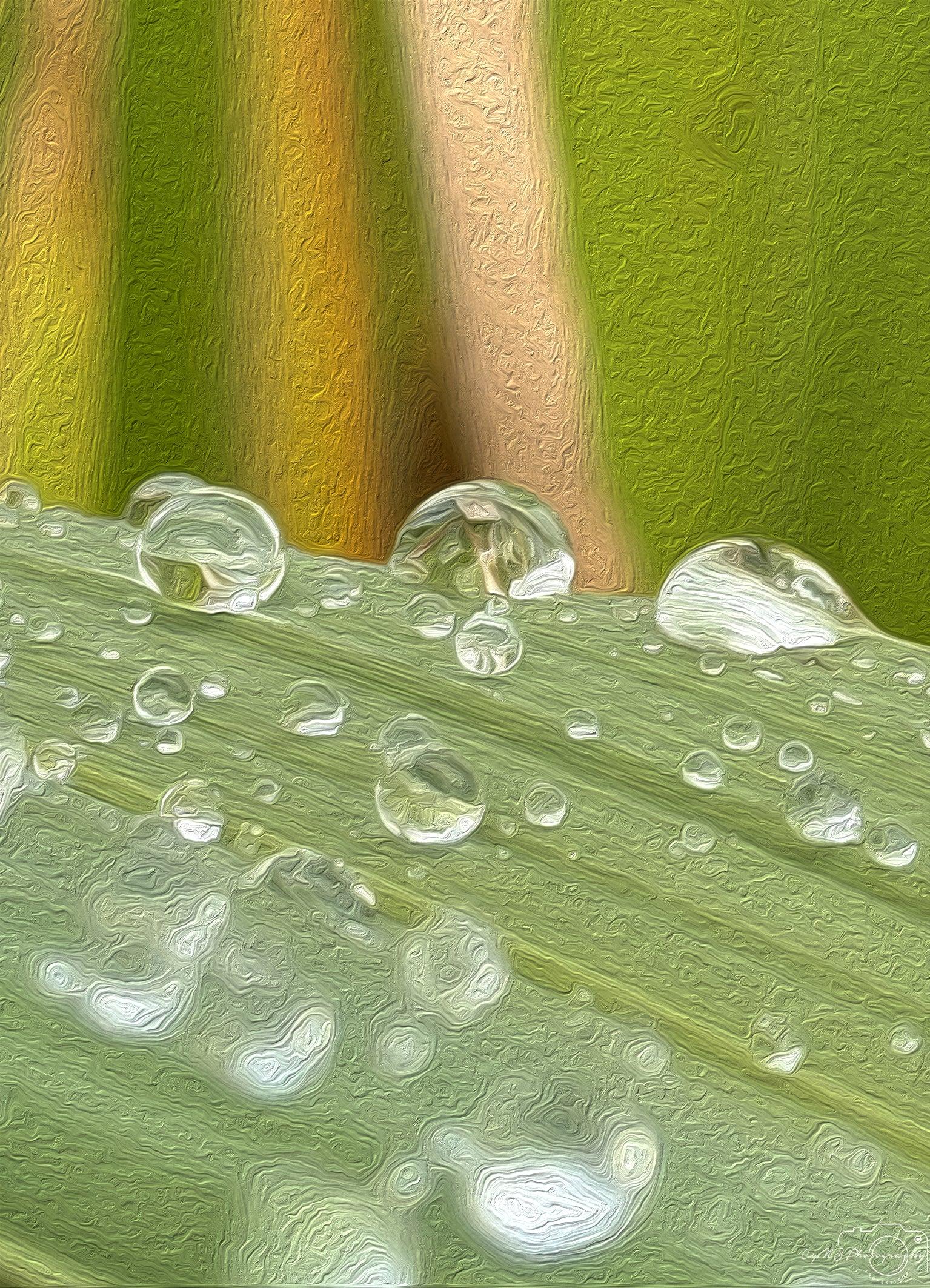 Beautiful water drop_V016_oil painting - Superbpictures