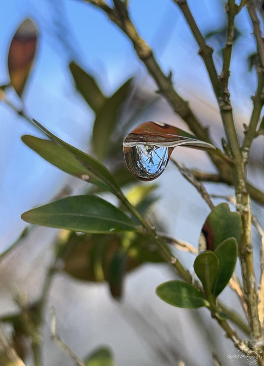 Beautiful water drop_V183 - Superbpictures