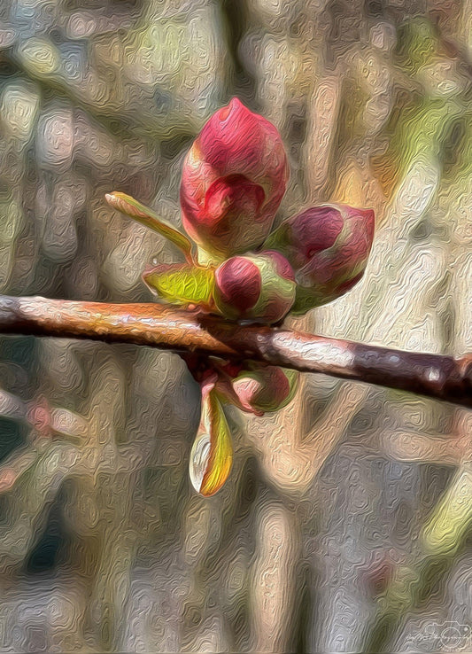 Belle goutte d'eau_V190_peinture à l'huile