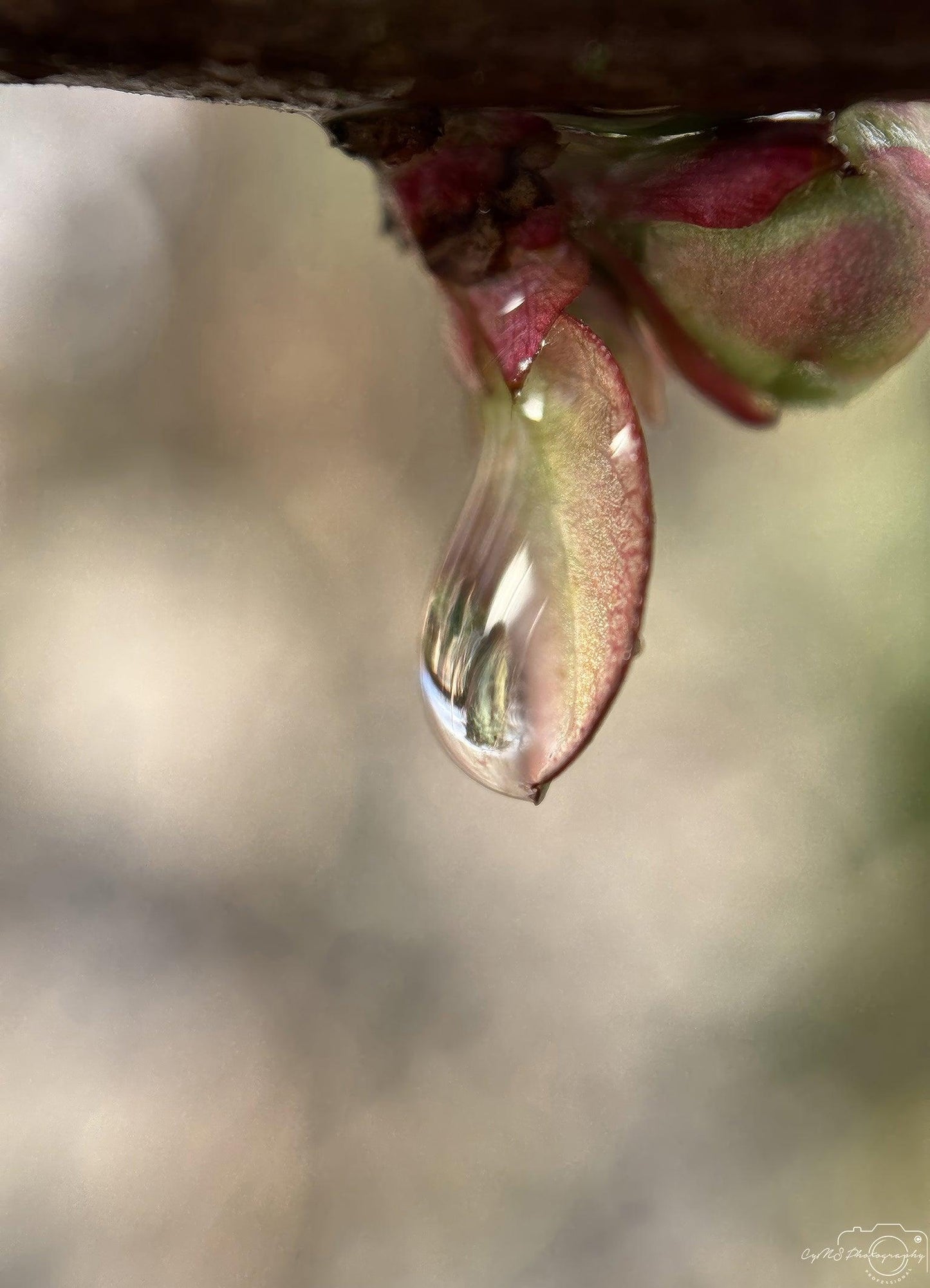 Beautiful water drop_V192