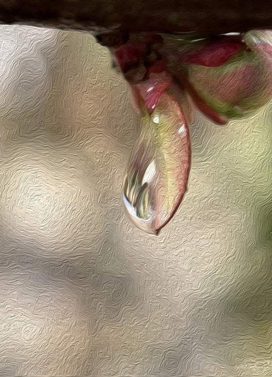 Beautiful water drop_V192_oil painting