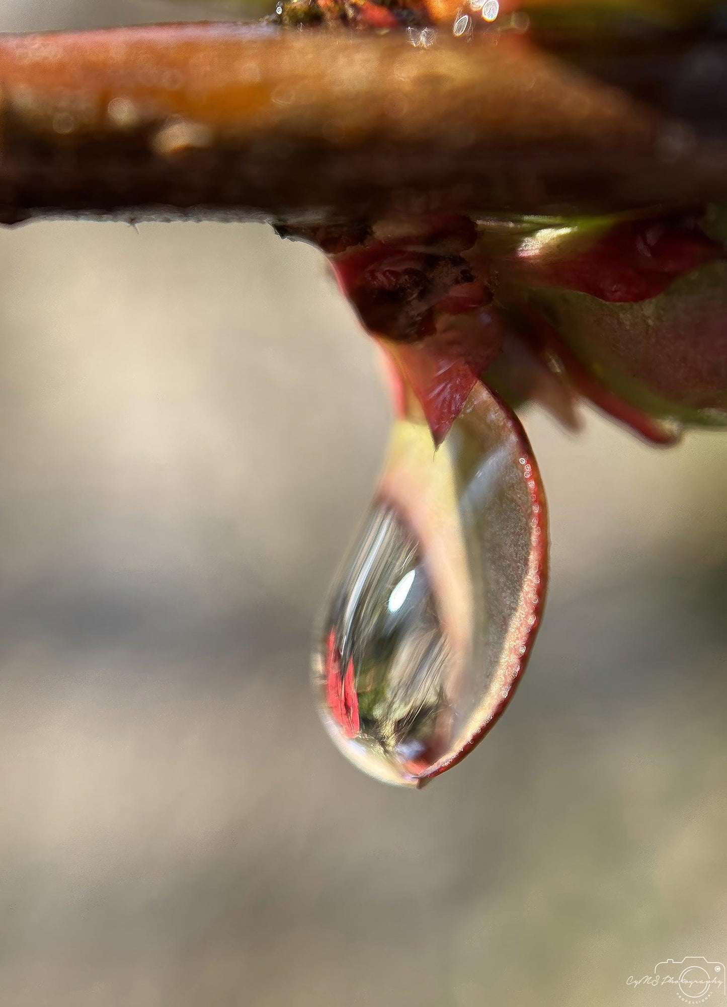 Belle goutte d'eau_V193