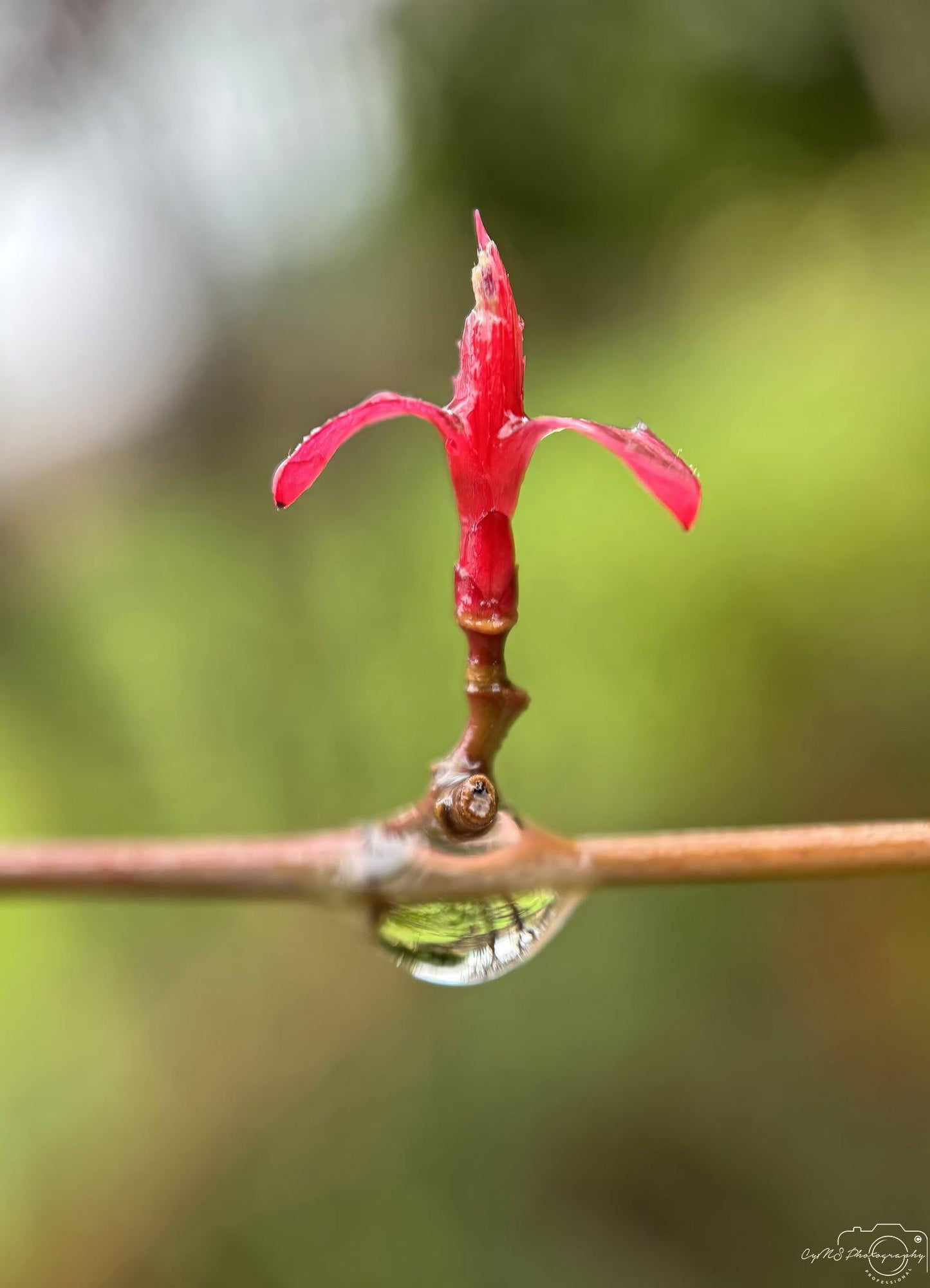 Beautiful water drop_V195