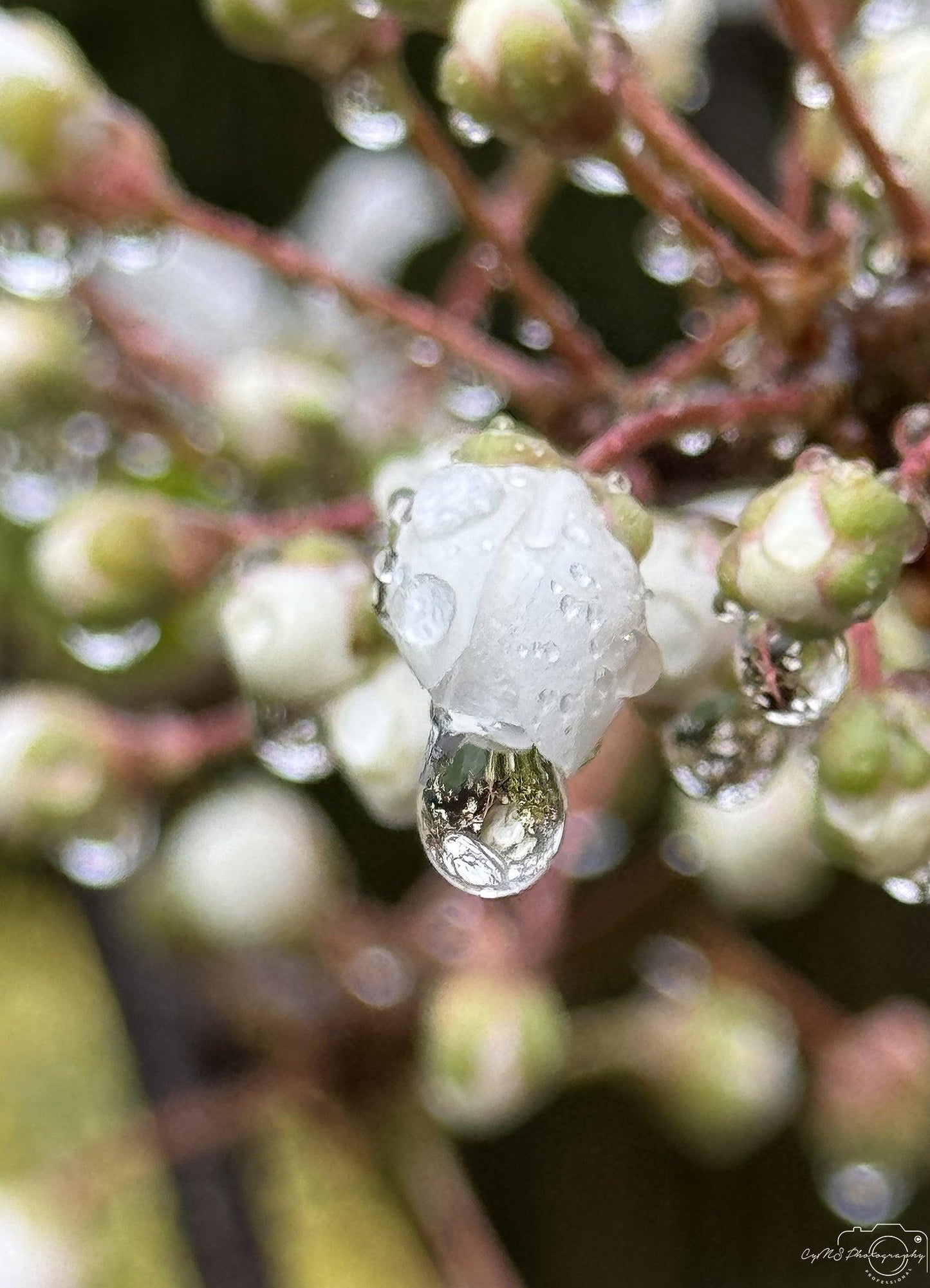 Beautiful water drop_V199