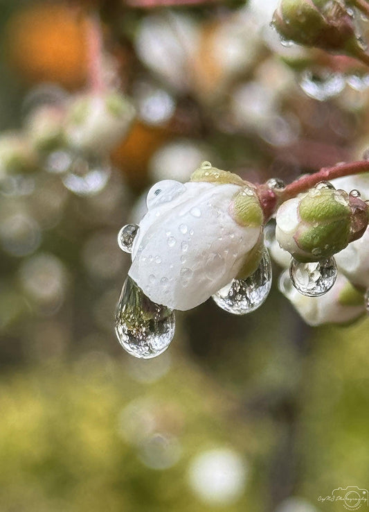 Beautiful water drop_V200