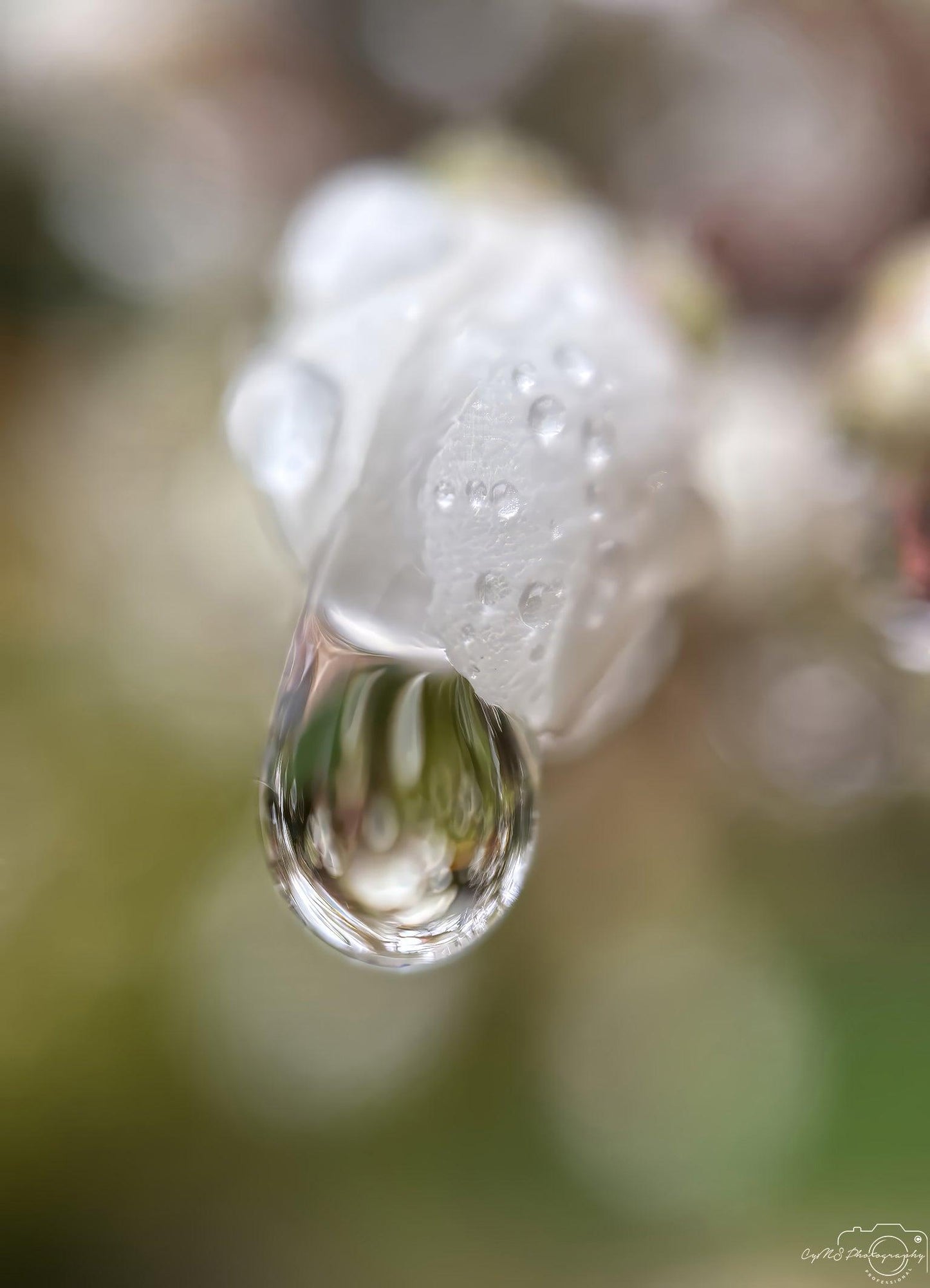 Beautiful water drop_V201