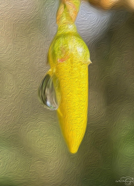 Beautiful water drop_V205_oil painting