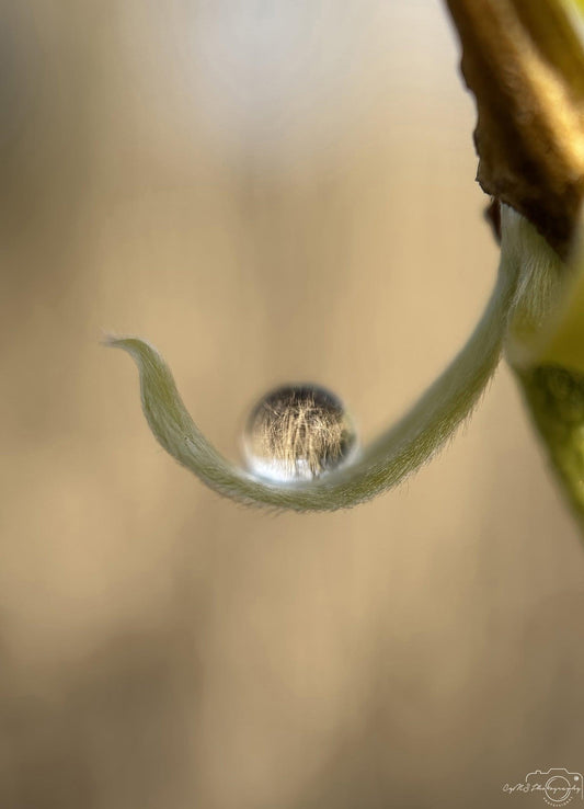 Beautiful water drop_V207